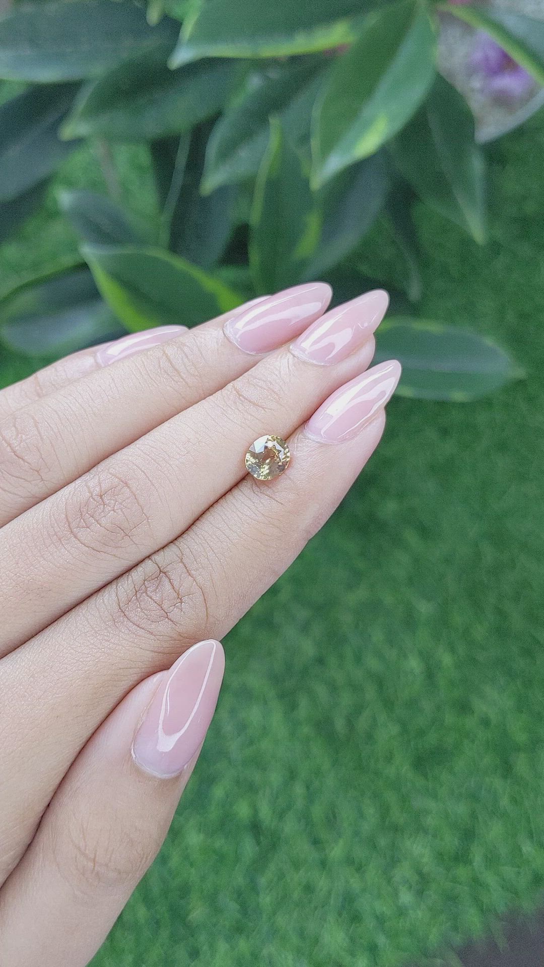 1.46 Ct. Greenish Yellow Sapphire from Tanzania Size Video