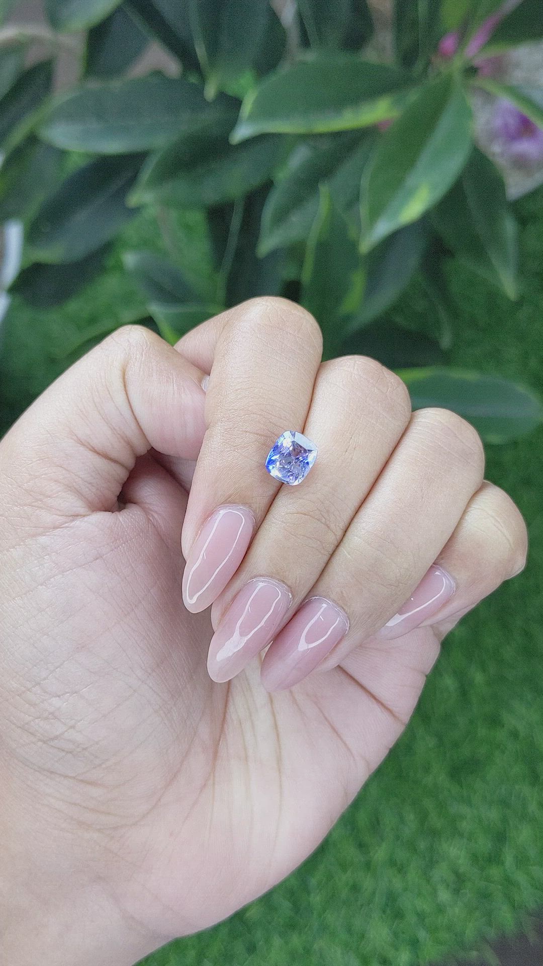 2.56 Ct. Bi Color Sapphire from Madagascar Size Video