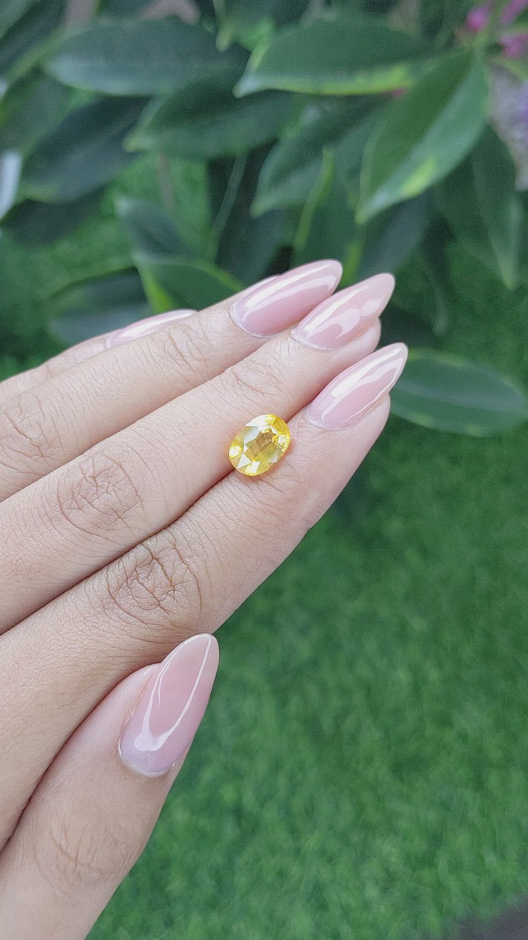 3.06 Ct. Yellow Sapphire from Madagascar Size Video