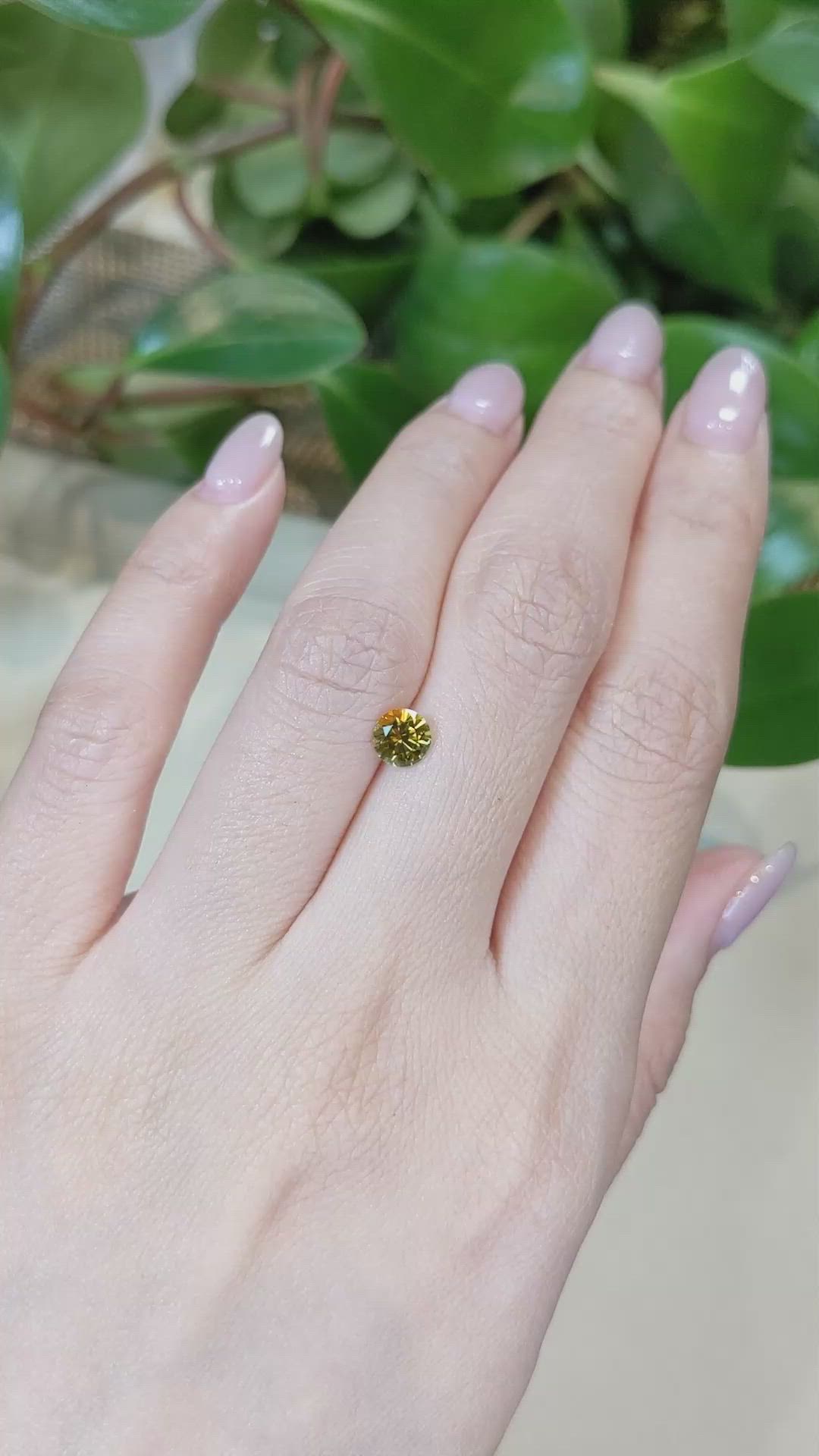 0.79 Ct. Greenish Yellow Sapphire from Montana Size Video