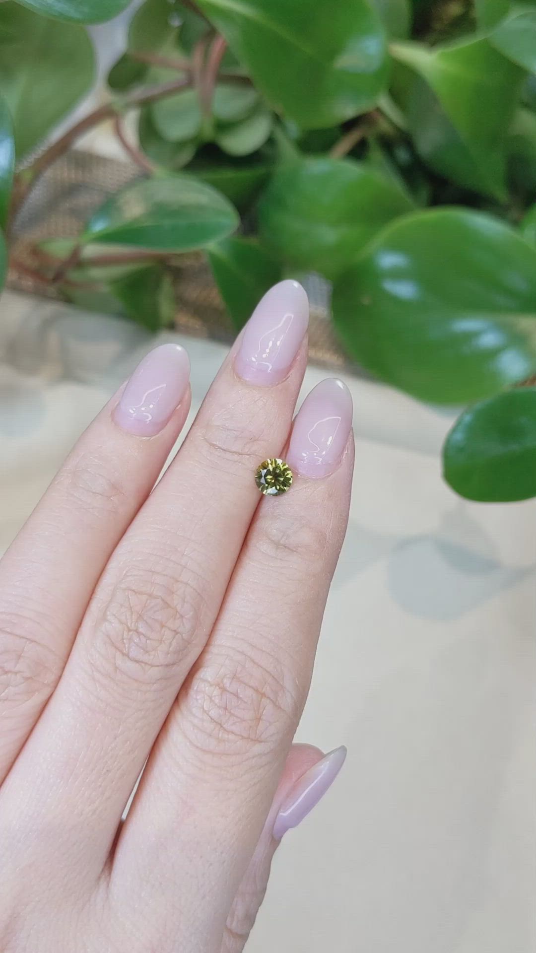 0.79 Ct. Greenish Yellow Sapphire from Montana Size Video