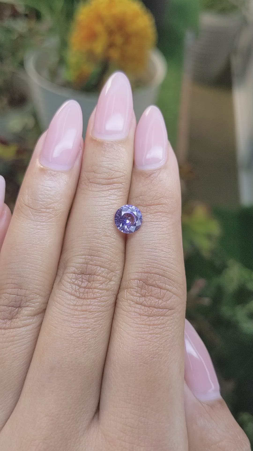 1.50 Ct. Bluish Purple Sapphire from Ceylon (Sri Lanka) Size Video