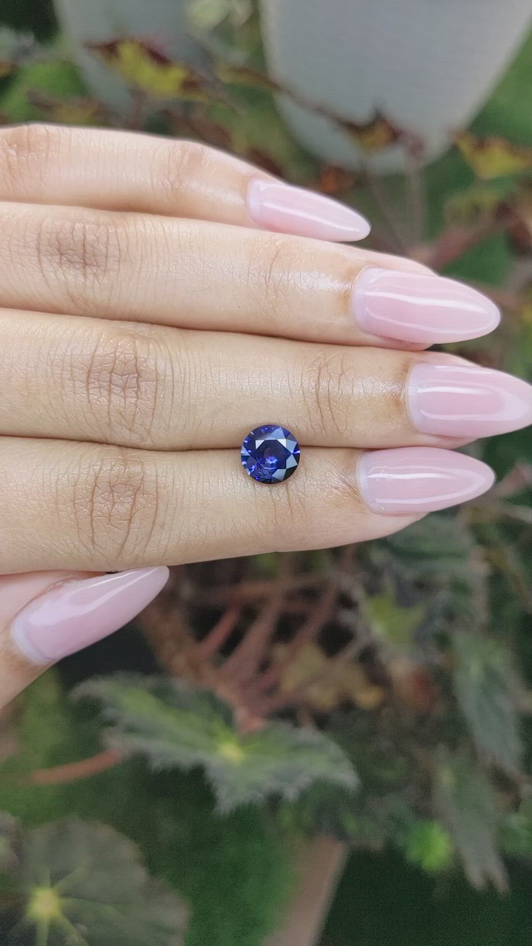 1.93 Ct. Blue Sapphire from Ceylon (Sri Lanka) Size Video