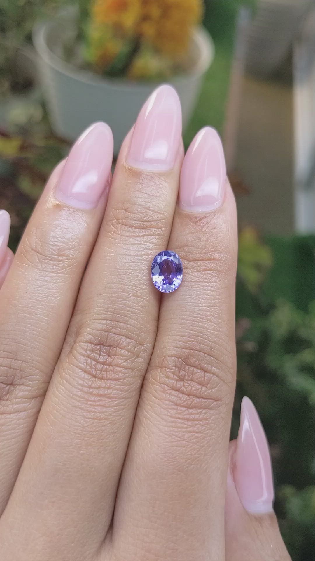 1.53 Ct. Violet Sapphire from Ceylon (Sri Lanka) Size Video