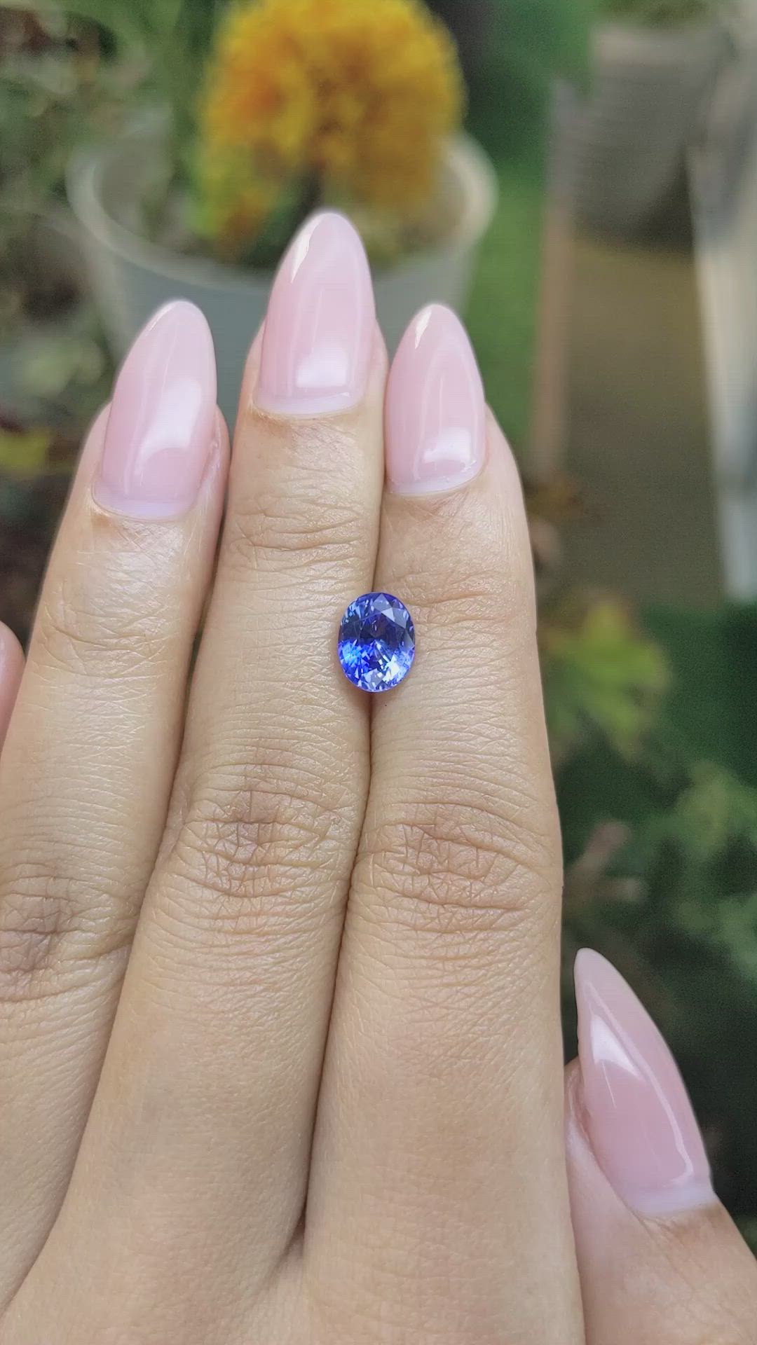 2.09 Ct. Blue Sapphire from Ceylon (Sri Lanka) Size Video