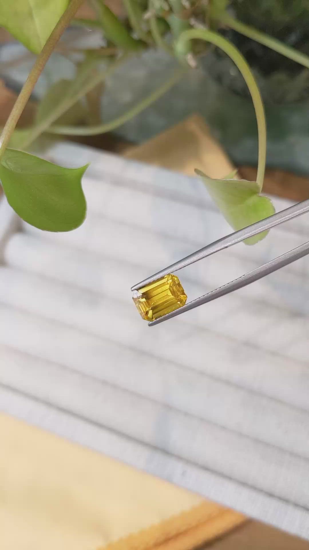 3.10 Ct. Orangish Yellow Sapphire from Ceylon (Sri Lanka) Size Video