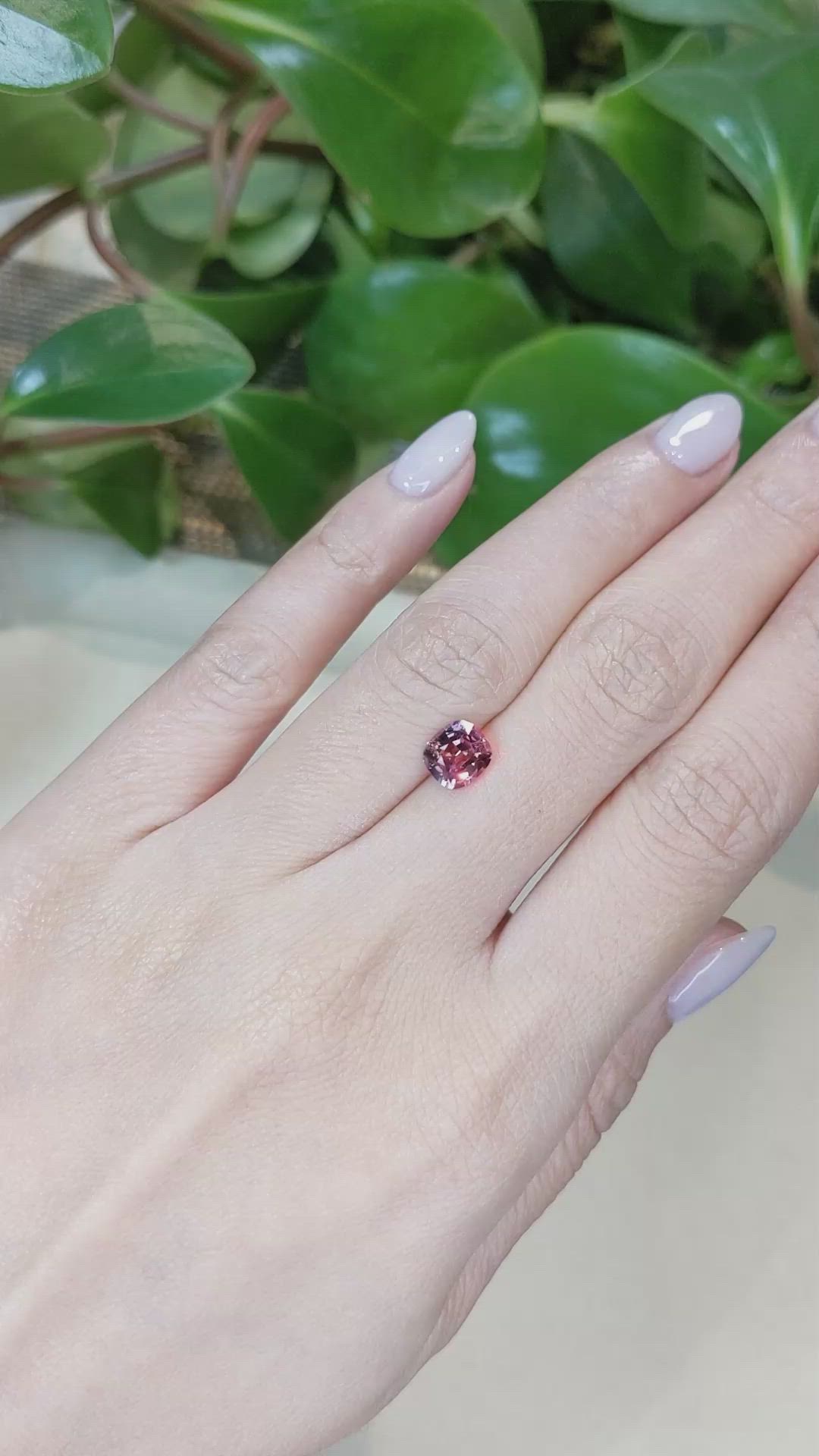 1.58 Ct. Reddish Pink Sapphire from Ceylon (Sri Lanka) Size Video