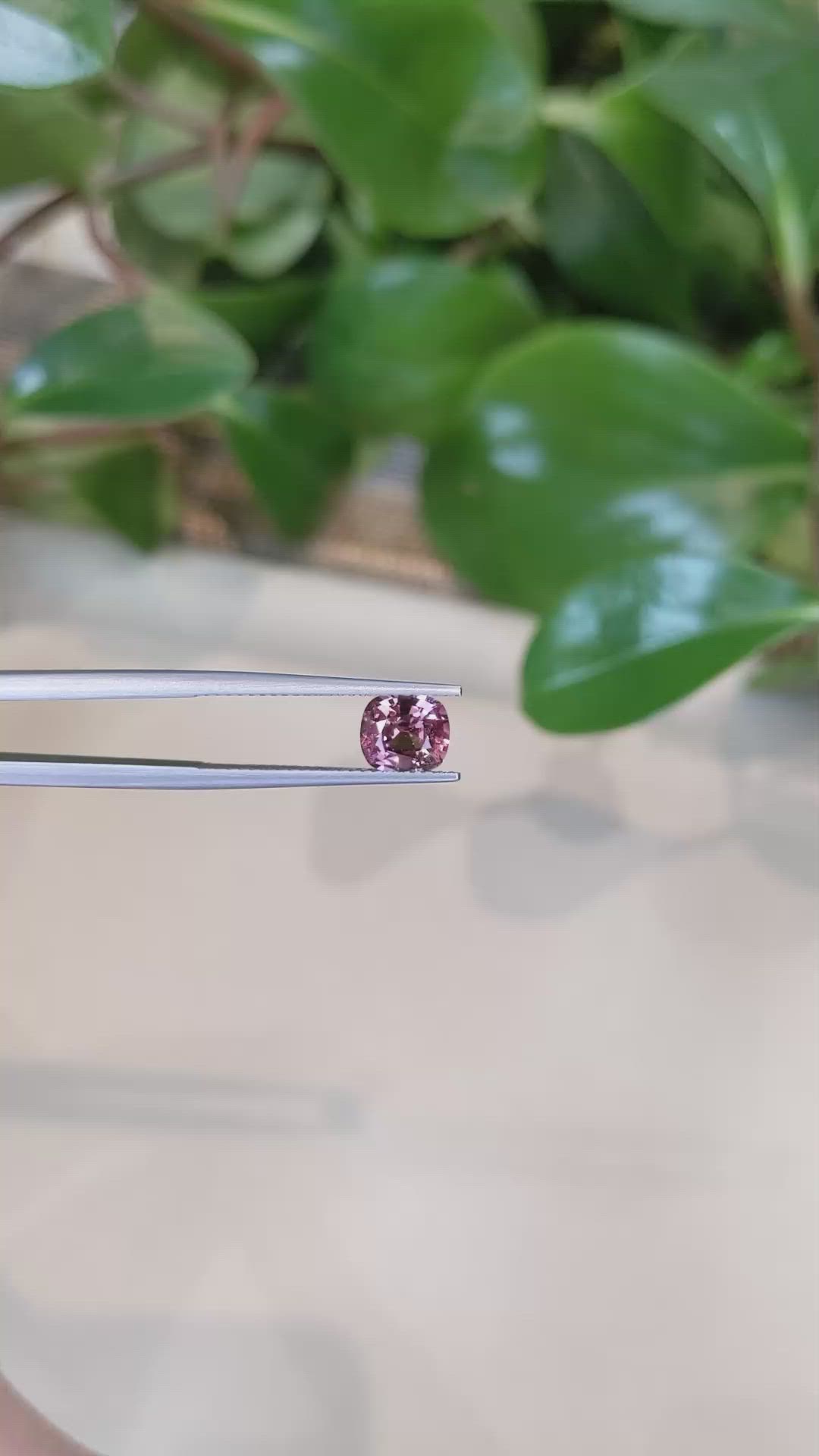 1.58 Ct. Reddish Pink Sapphire from Ceylon (Sri Lanka) Size Video
