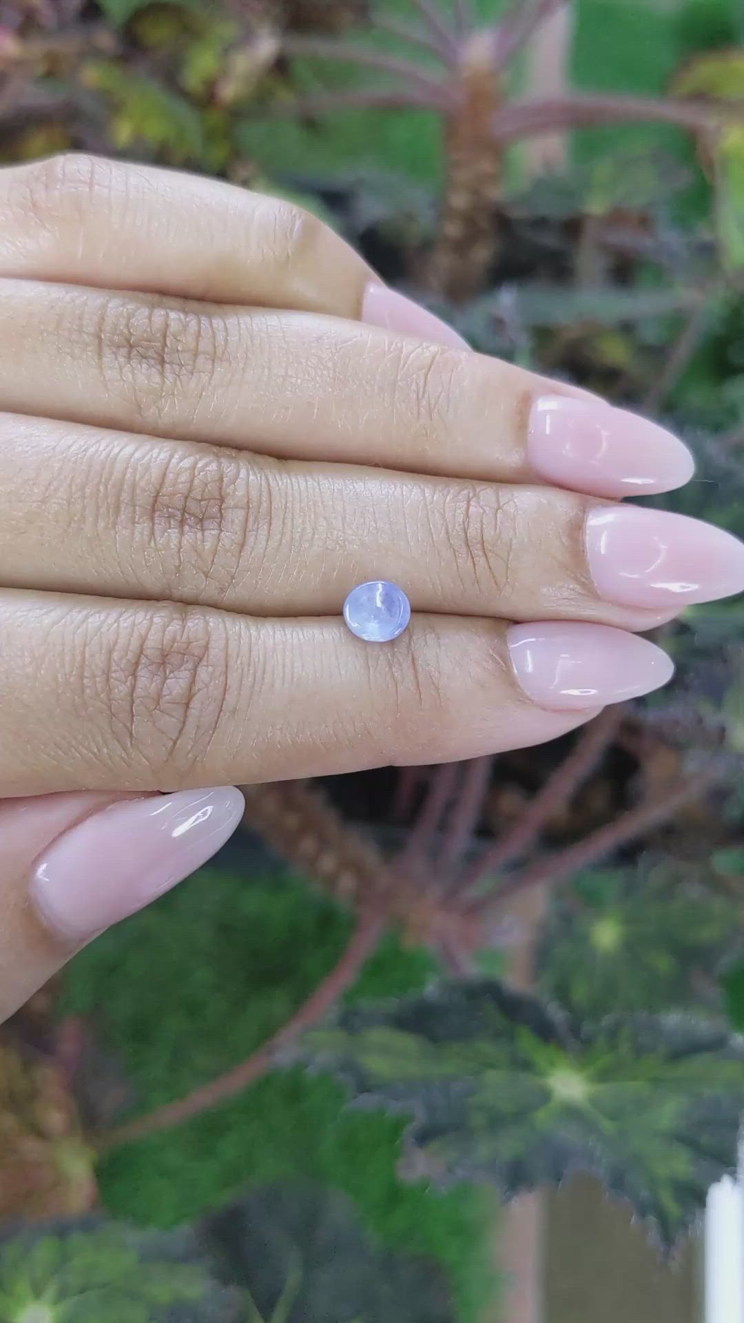 1.33 Ct. Blue Star Sapphire from Ceylon (Sri Lanka) Size Video