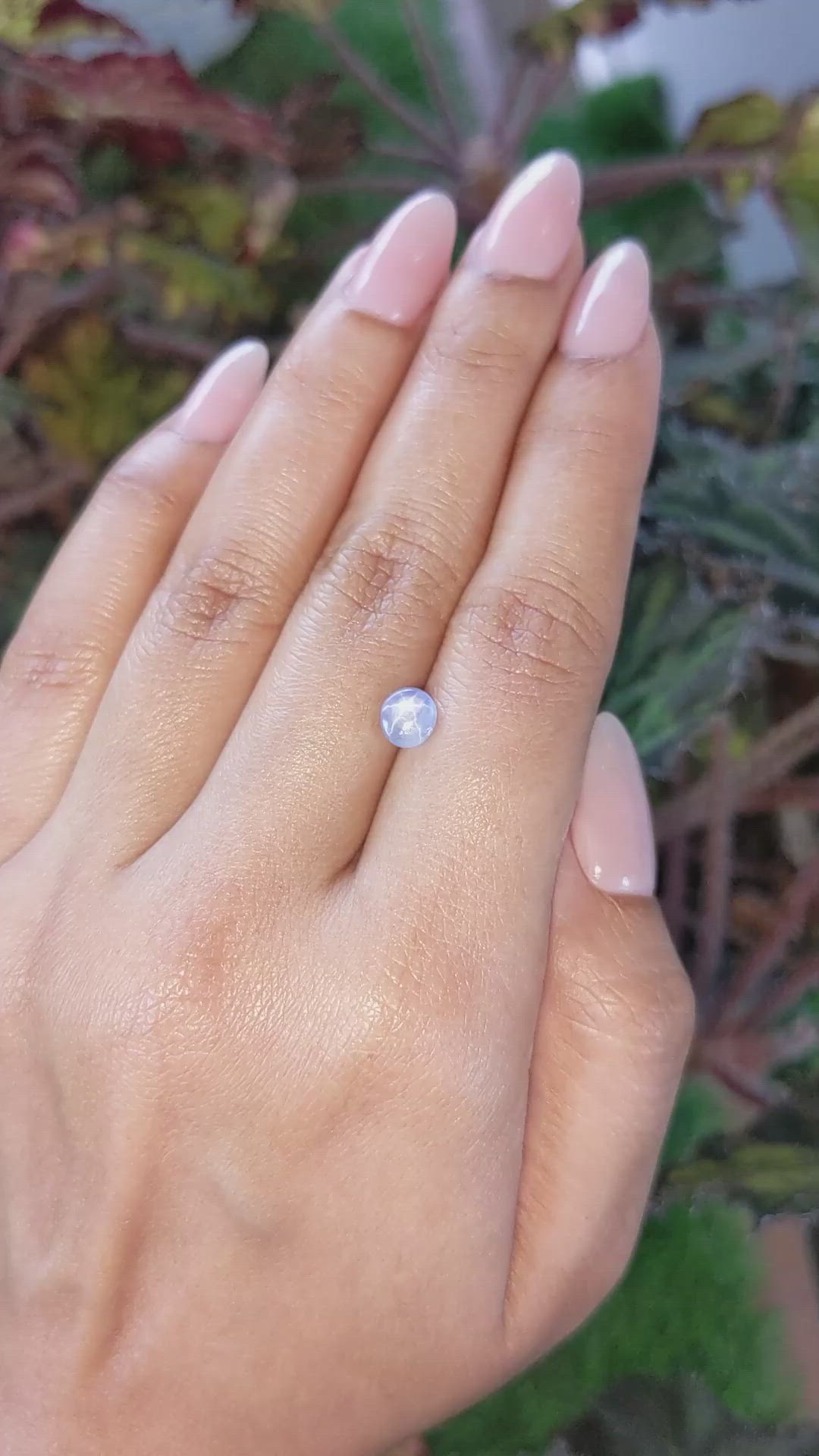 1.33 Ct. Blue Star Sapphire from Ceylon (Sri Lanka) Size Video