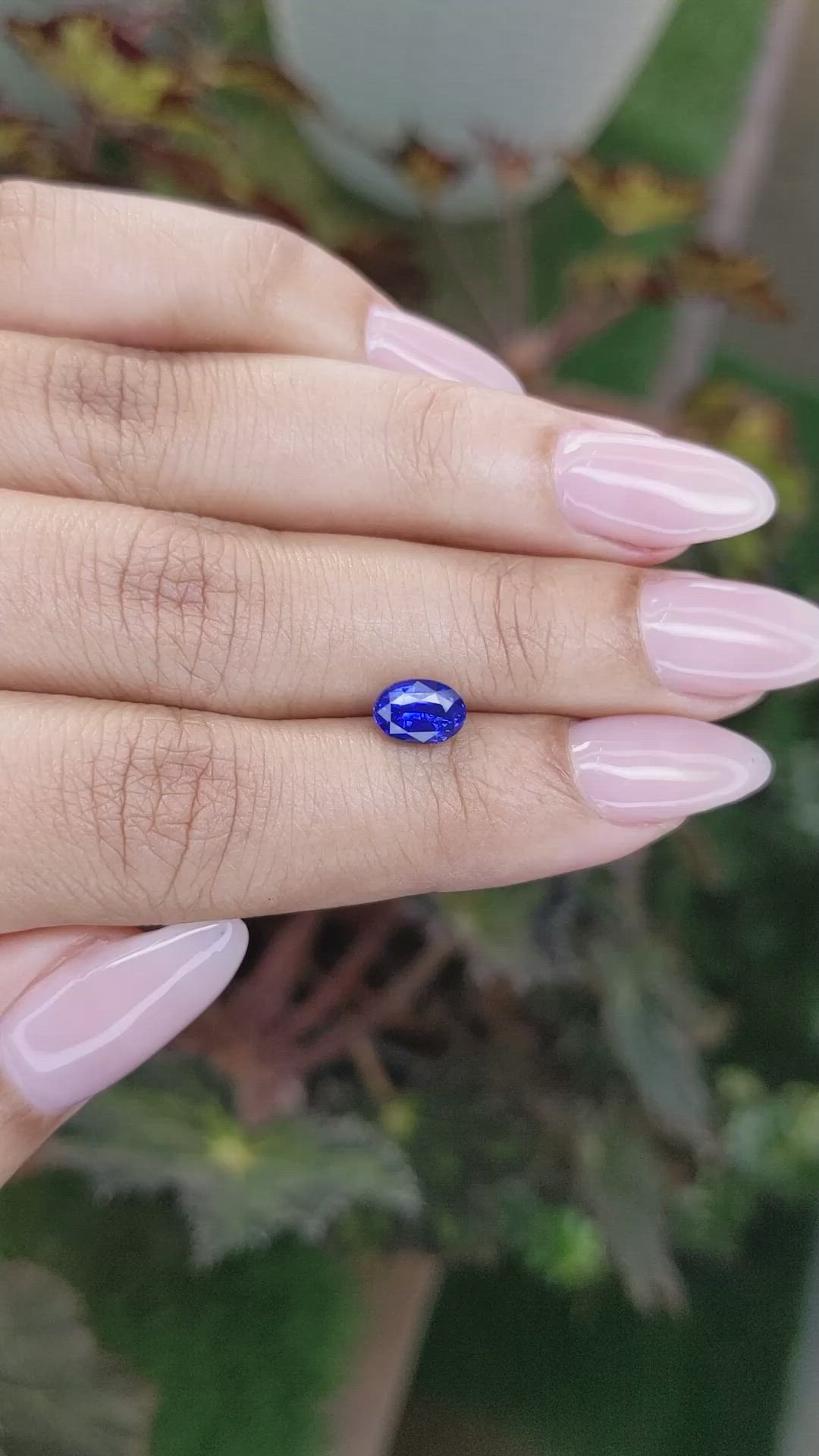 1.40 Ct. Blue Sapphire from Ceylon (Sri Lanka) Size Video