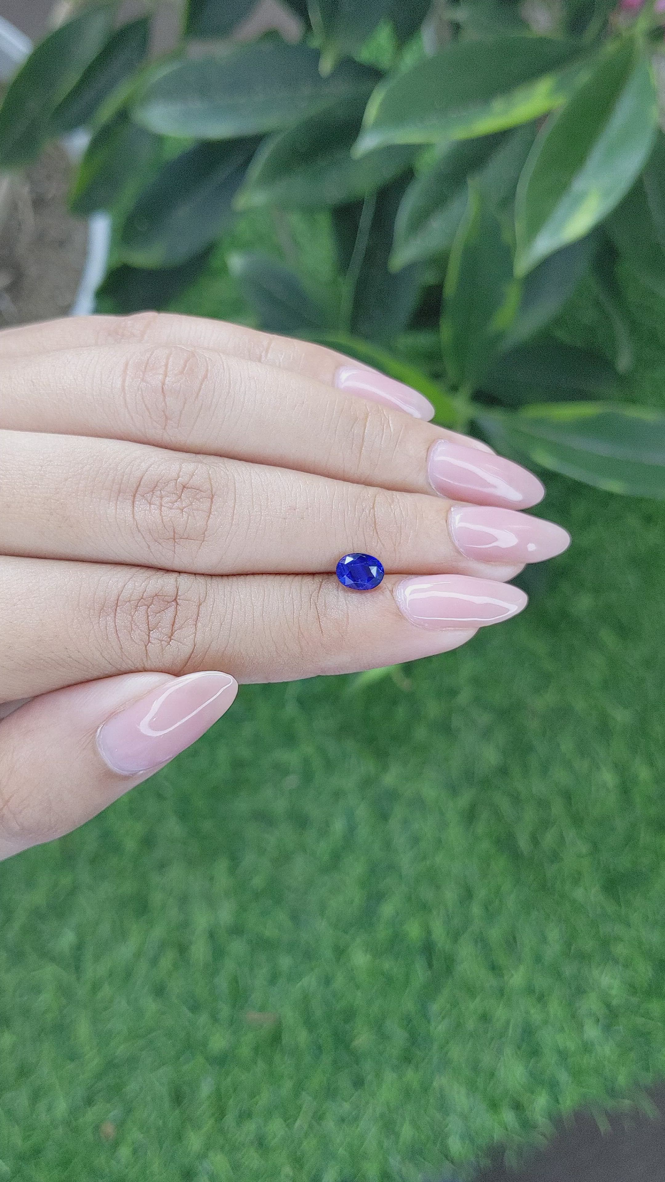 1.01 Ct. Blue Sapphire from Tanzania Size Video