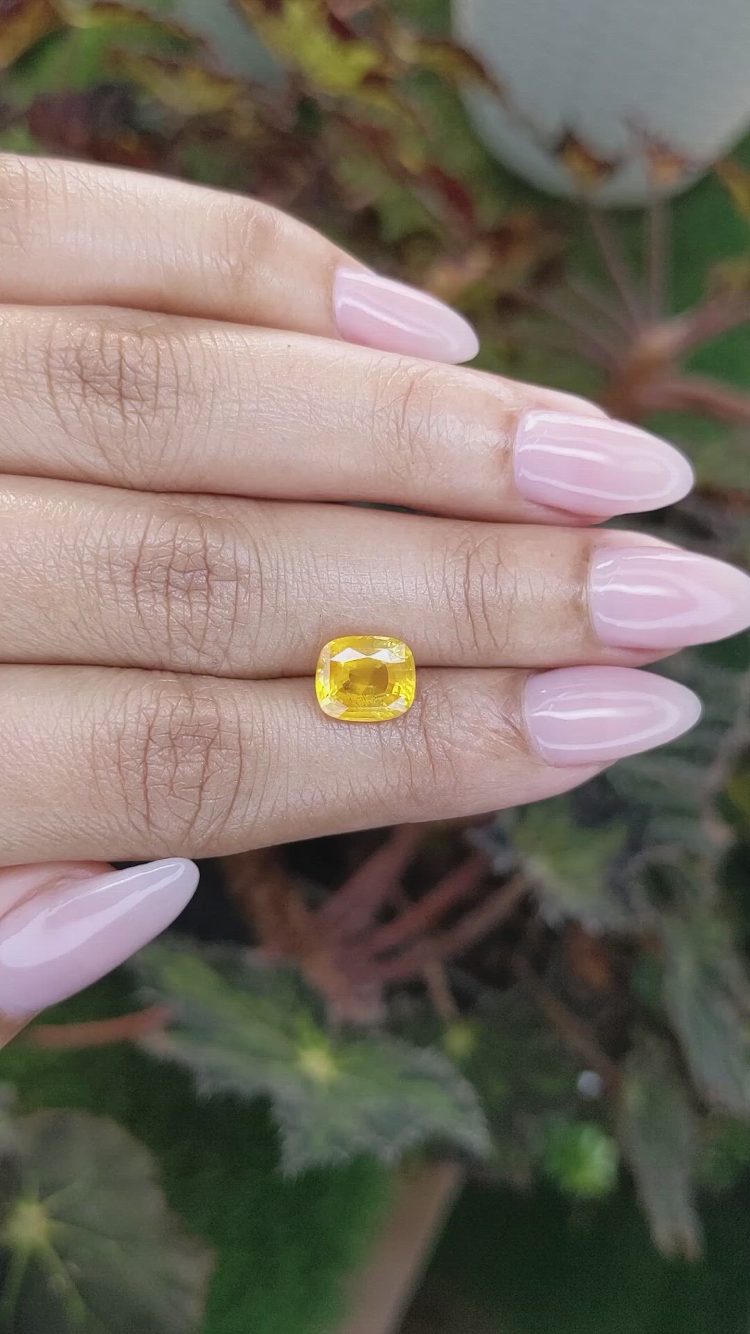 2.85 Ct. Yellow Sapphire from Ceylon (Sri Lanka) Size Video