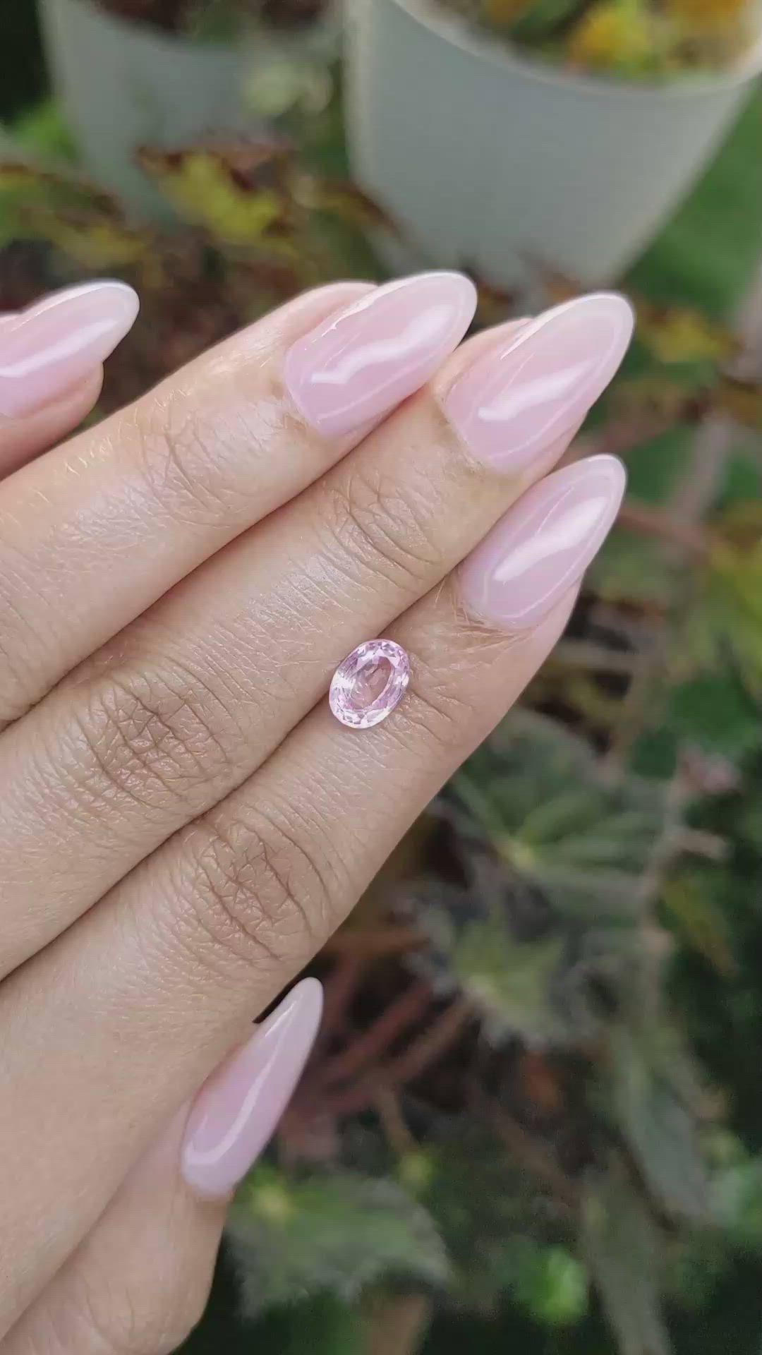 1.46 Ct. Pink Sapphire from Ceylon (Sri Lanka) Size Video