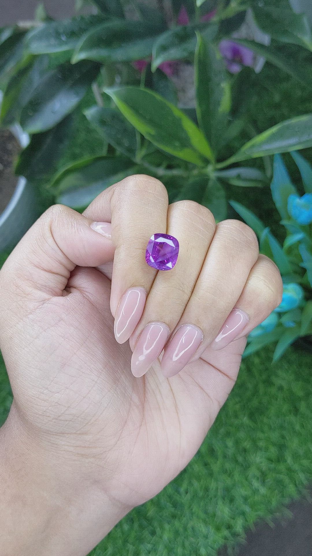 7.66 Ct. Pinkish Purple Sapphire from Ceylon (Sri Lanka) Size Video