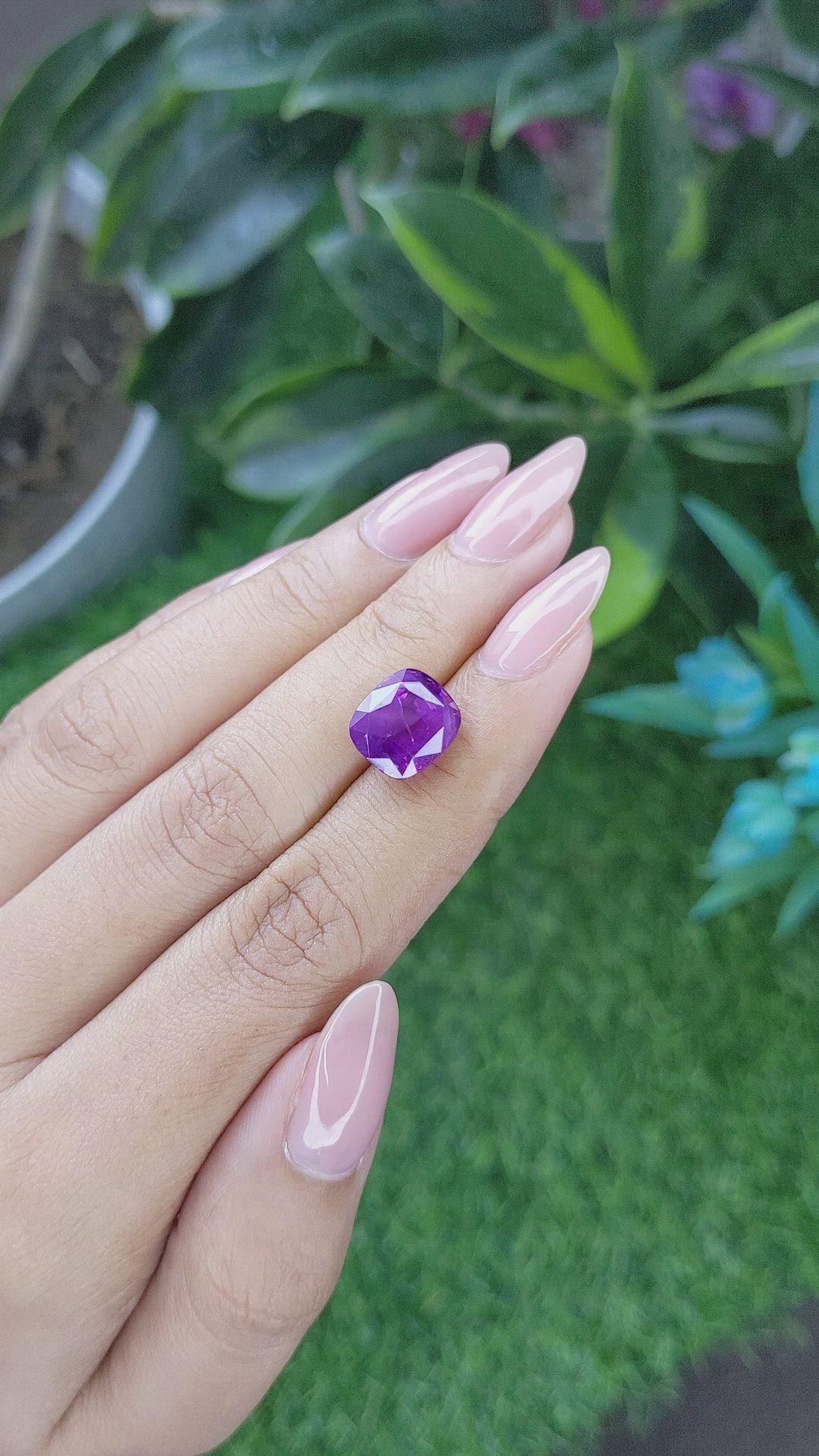 7.66 Ct. Pinkish Purple Sapphire from Ceylon (Sri Lanka) Size Video