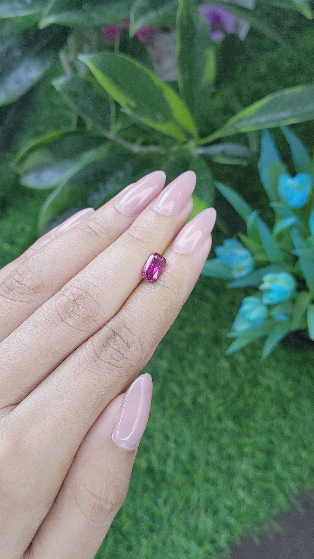 1.57 Ct. Purplish Pink Sapphire from Ceylon (Sri Lanka) Size Video