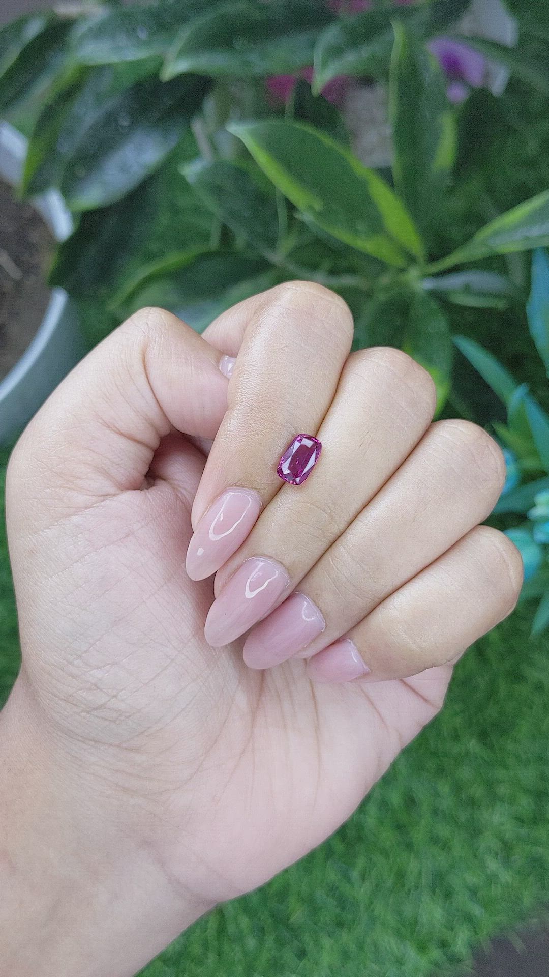 1.57 Ct. Purplish Pink Sapphire from Ceylon (Sri Lanka) Size Video