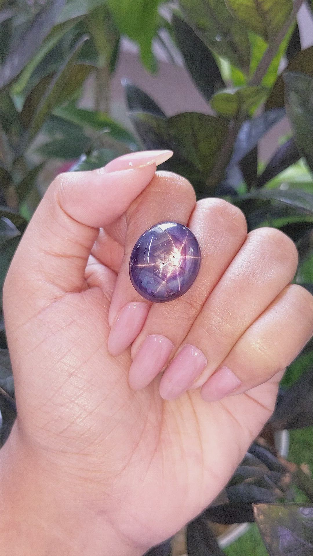 50.05 Ct. Purple Star Sapphire from Ceylon (Sri Lanka) Size Video