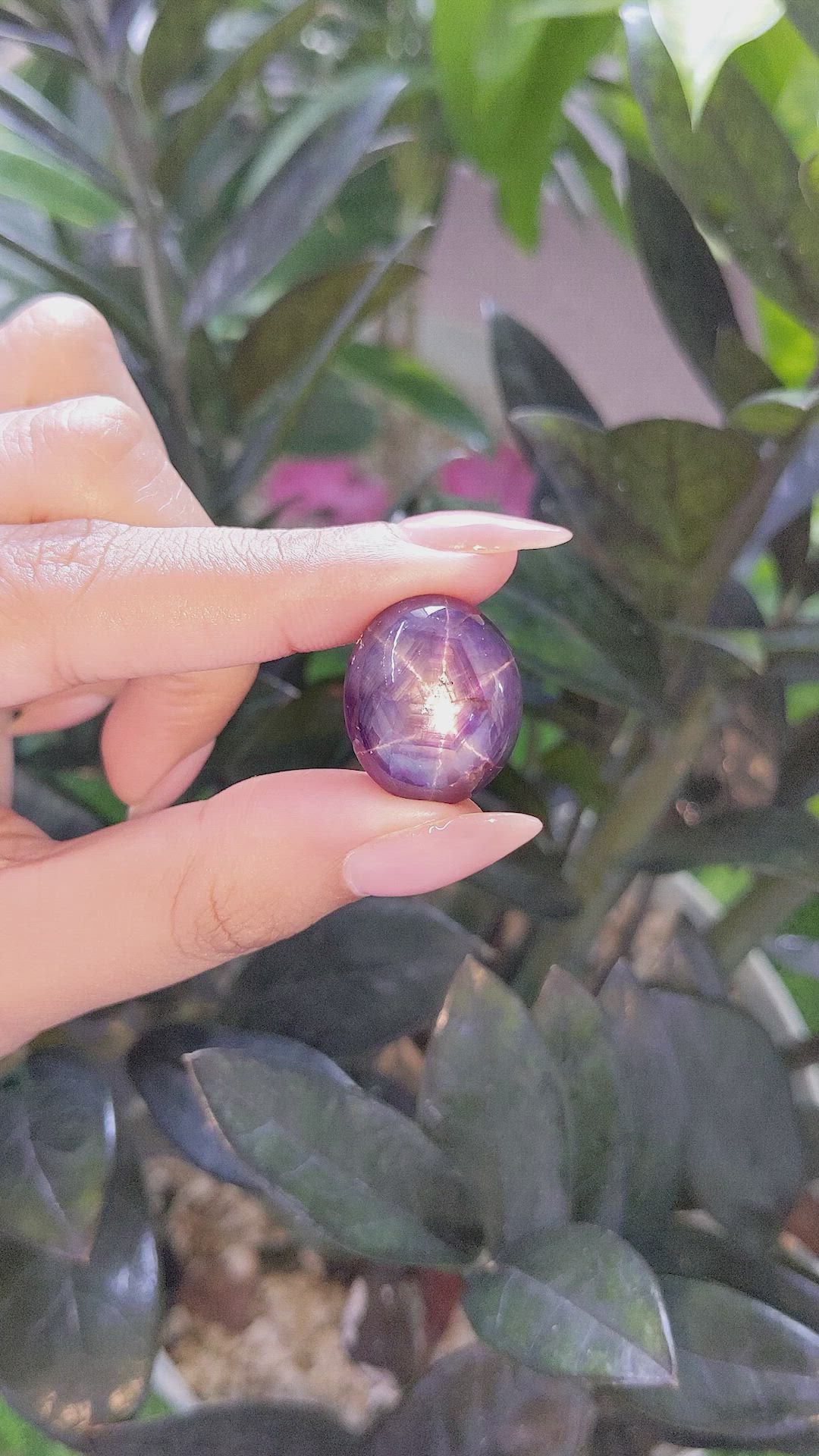 50.05 Ct. Purple Star Sapphire from Ceylon (Sri Lanka) Size Video