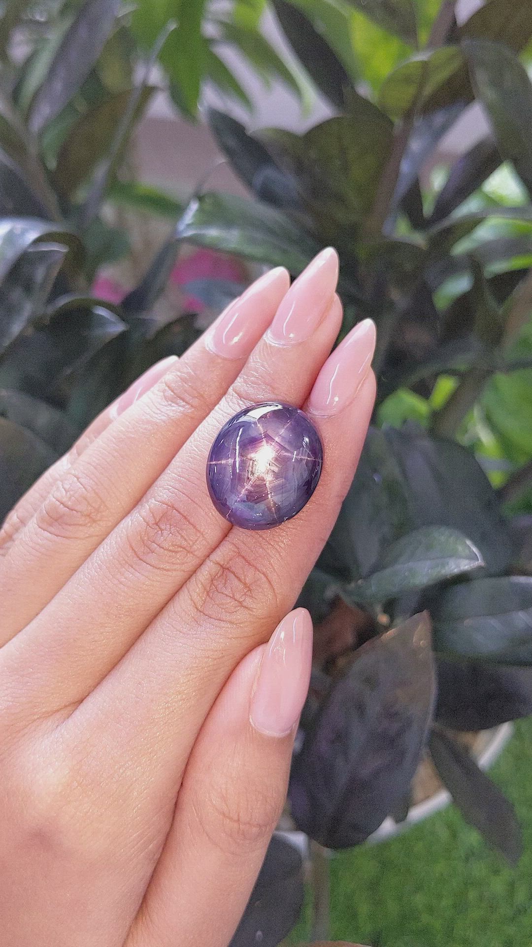 50.05 Ct. Purple Star Sapphire from Ceylon (Sri Lanka) Size Video