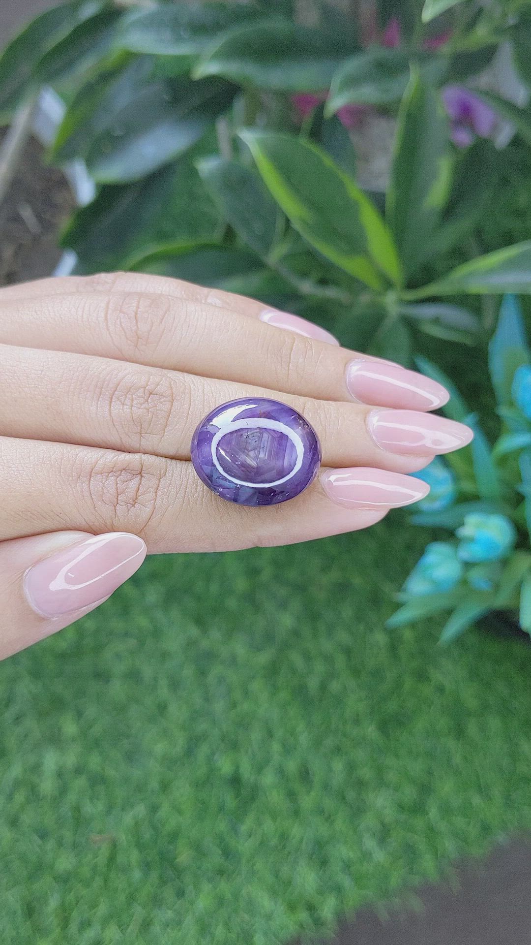 50.05 Ct. Purple Star Sapphire from Ceylon (Sri Lanka) Size Video