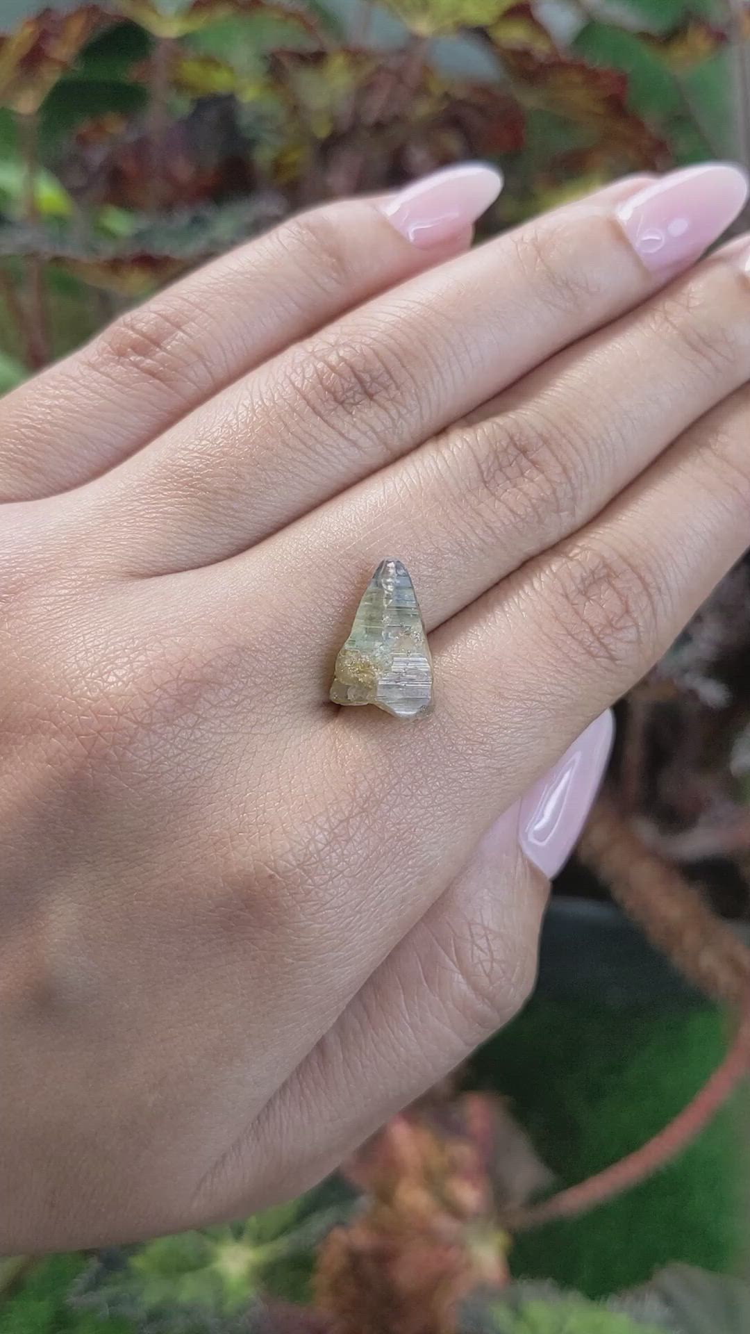 8.59 Ct. Bi Color Sapphire Crystal from Ceylon (Sri Lanka) Size Video