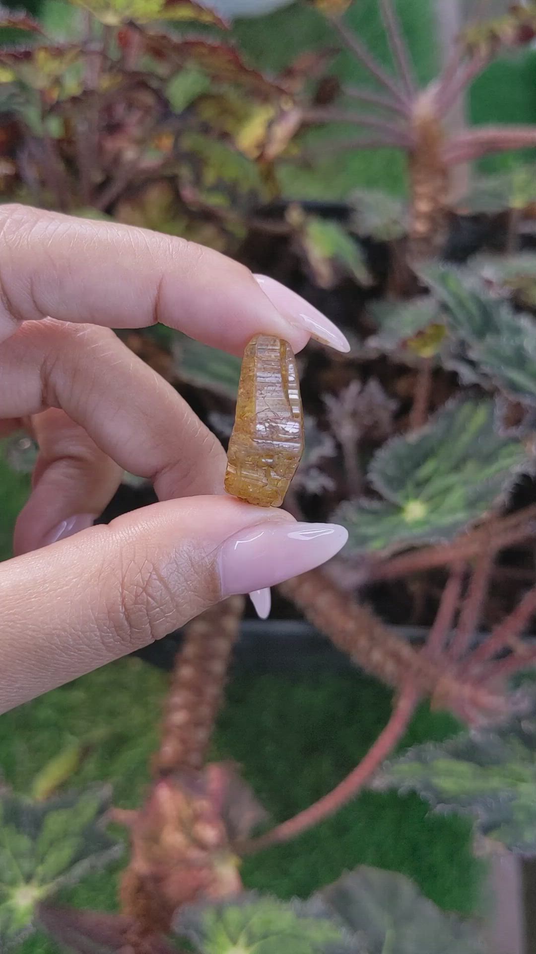 24.02 Ct. Brown Sapphire Crystal from Ceylon (Sri Lanka) Size Video