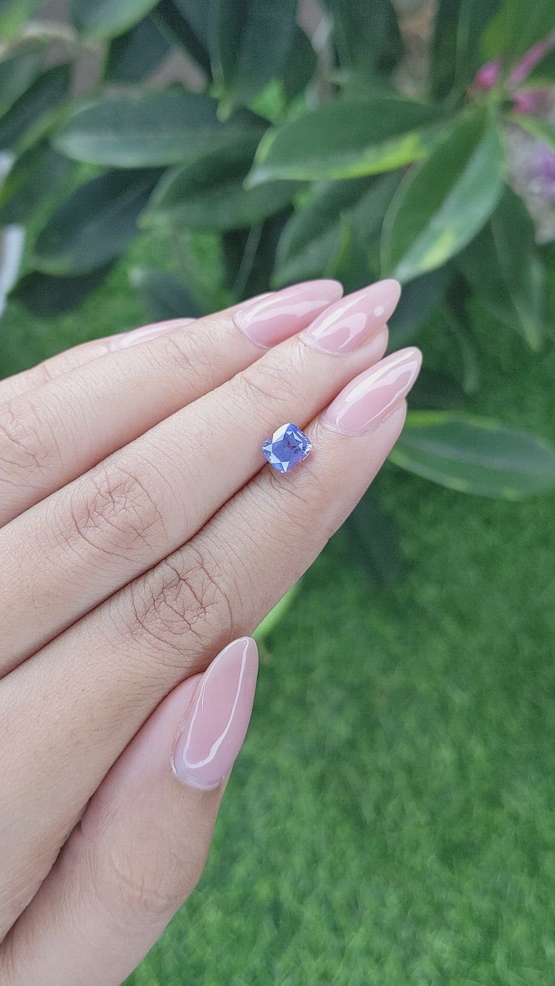 1.42 Ct. Blue Sapphire from Ceylon (Sri Lanka) Size Video