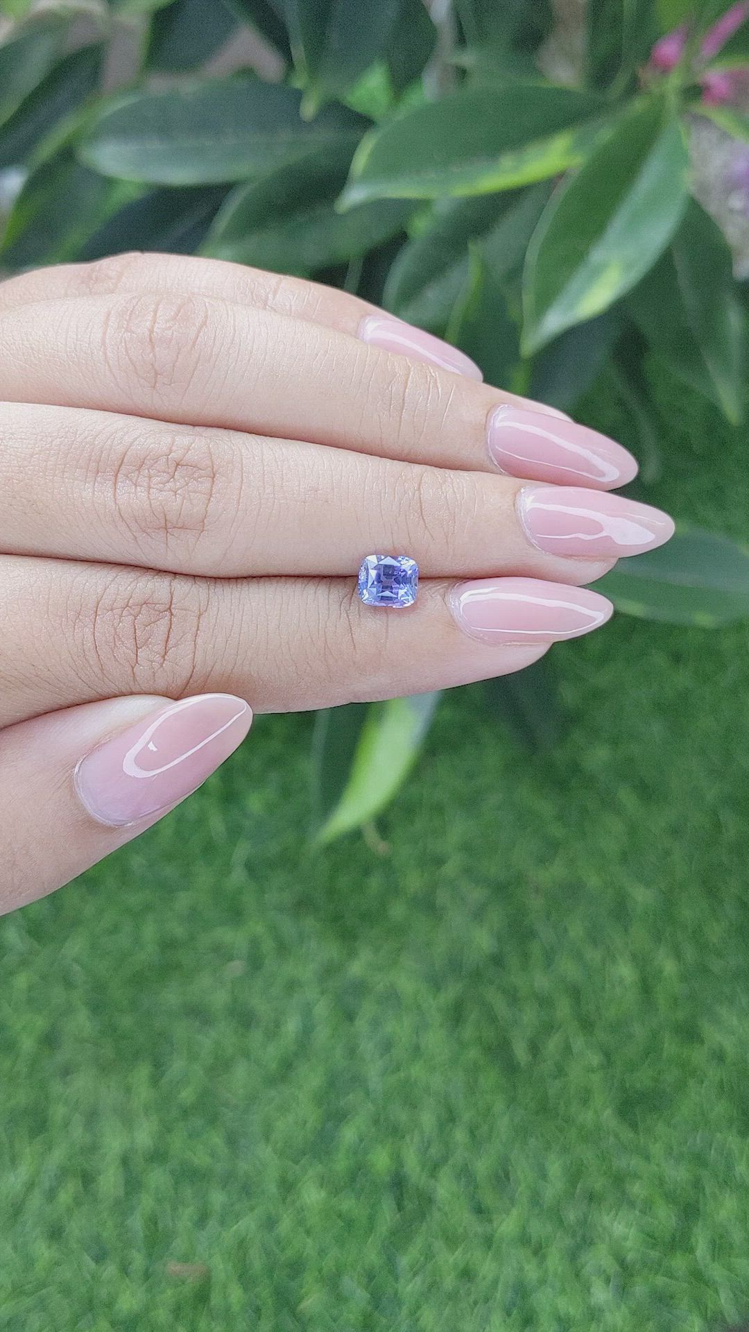 1.42 Ct. Blue Sapphire from Ceylon (Sri Lanka) Size Video