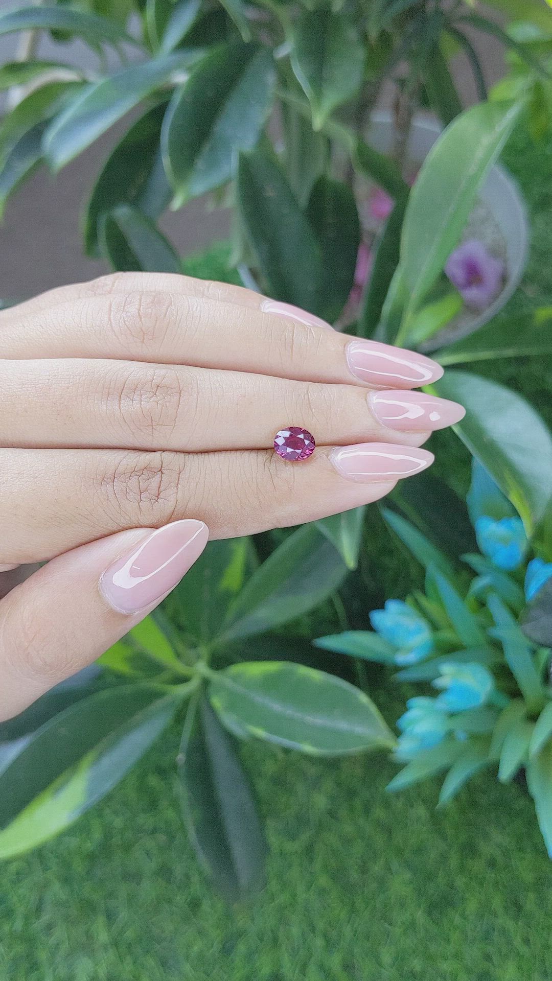 1.58 Ct. Purplish Pink Sapphire from Ceylon (Sri Lanka) Size Video