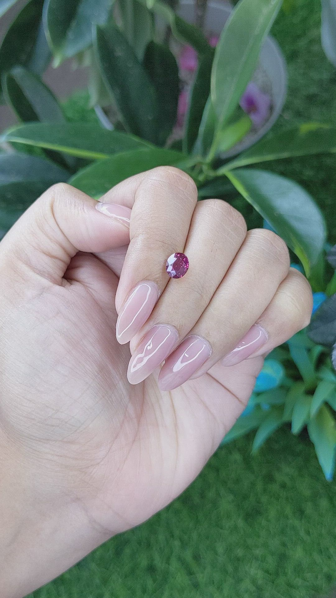 1.58 Ct. Purplish Pink Sapphire from Ceylon (Sri Lanka) Size Video