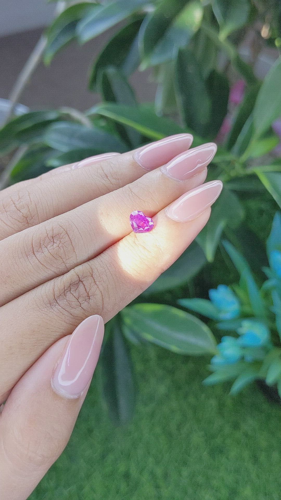 1.32 Ct. Purplish Pink Sapphire from Ceylon (Sri Lanka) Size Video