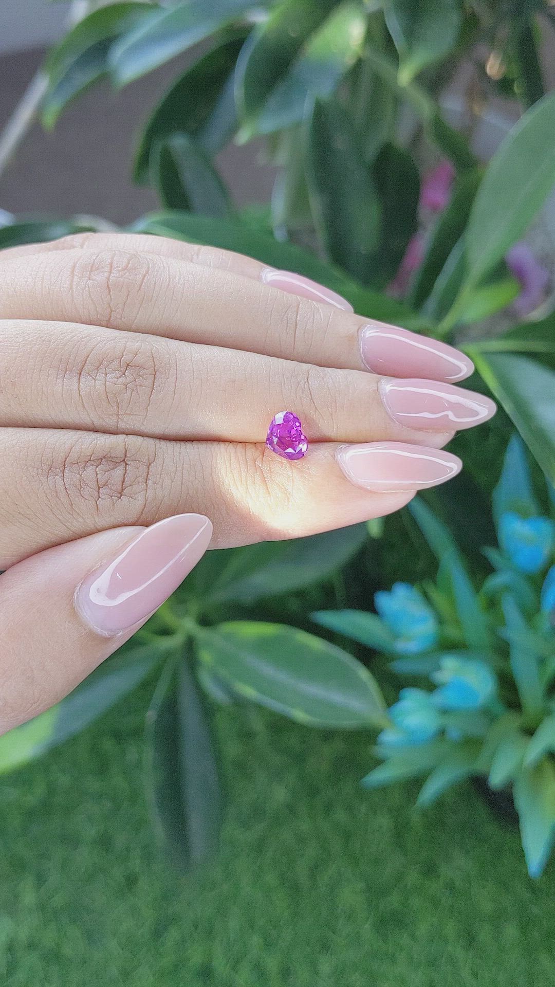 1.32 Ct. Purplish Pink Sapphire from Ceylon (Sri Lanka) Size Video