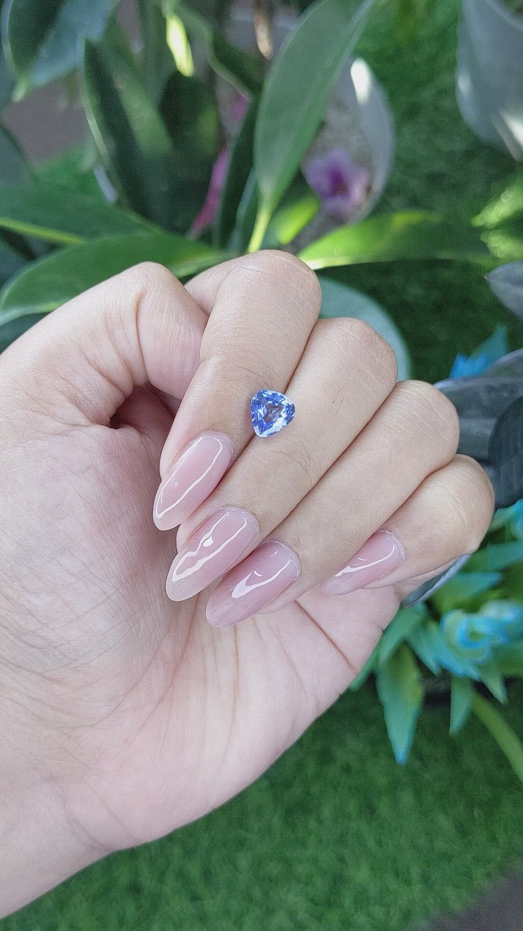 1.55 Ct. Blue Sapphire from Ceylon (Sri Lanka) Size Video