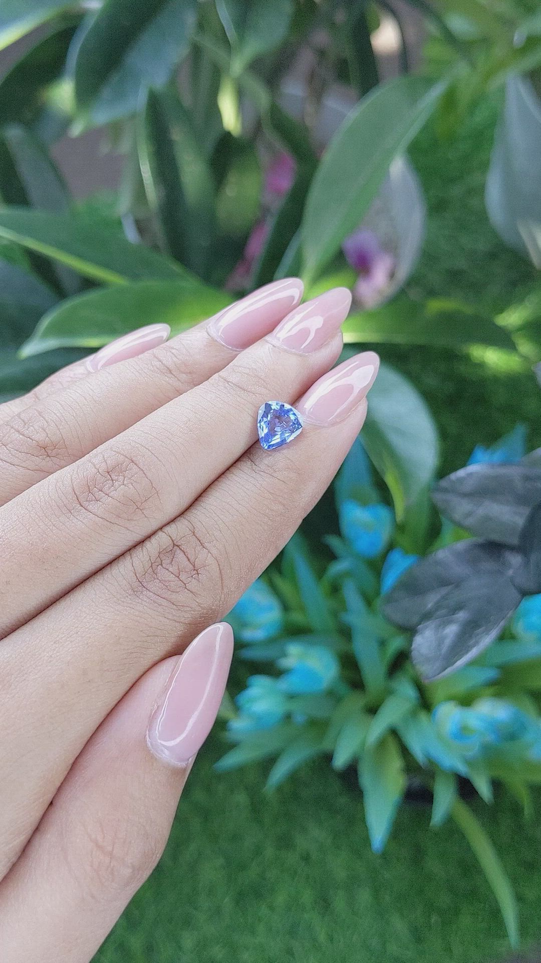 1.55 Ct. Blue Sapphire from Ceylon (Sri Lanka) Size Video