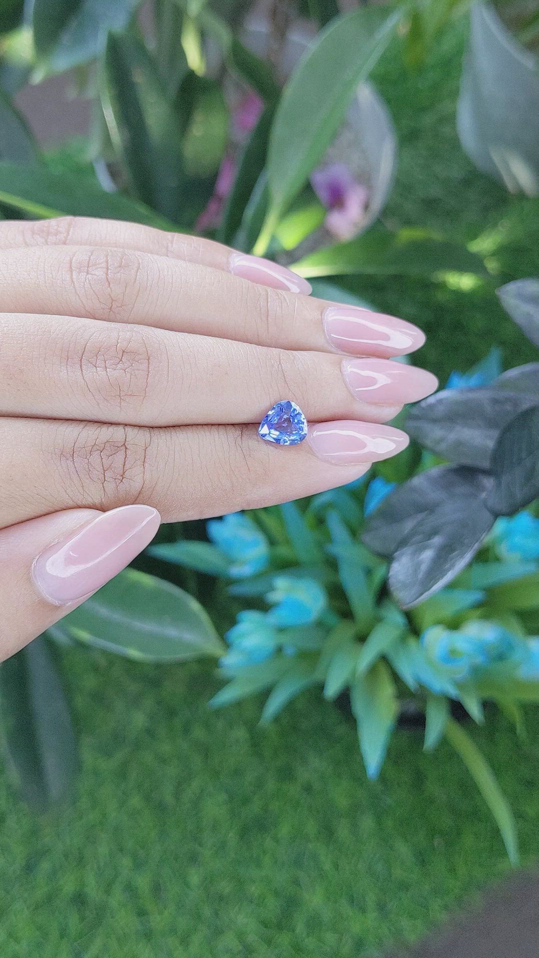 1.55 Ct. Blue Sapphire from Ceylon (Sri Lanka) Size Video