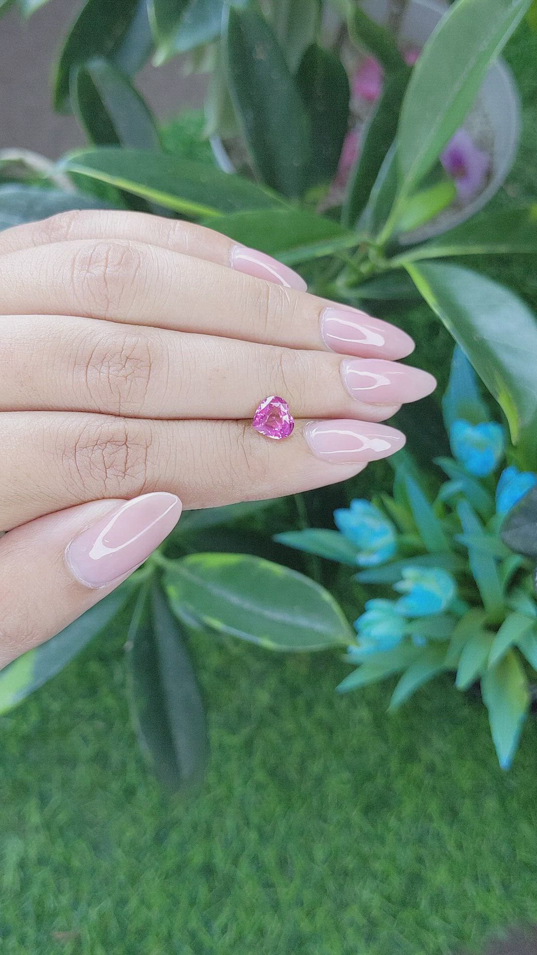 1.31 Ct. Pink Sapphire from Ceylon (Sri Lanka) Size Video