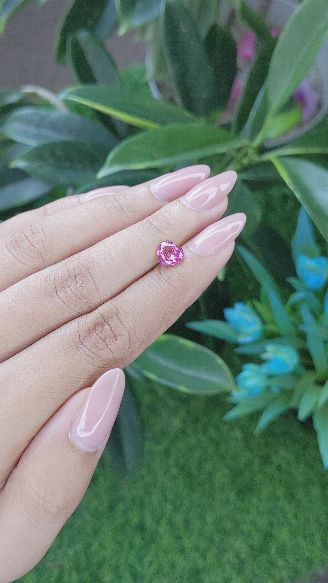 1.31 Ct. Pink Sapphire from Ceylon (Sri Lanka) Size Video