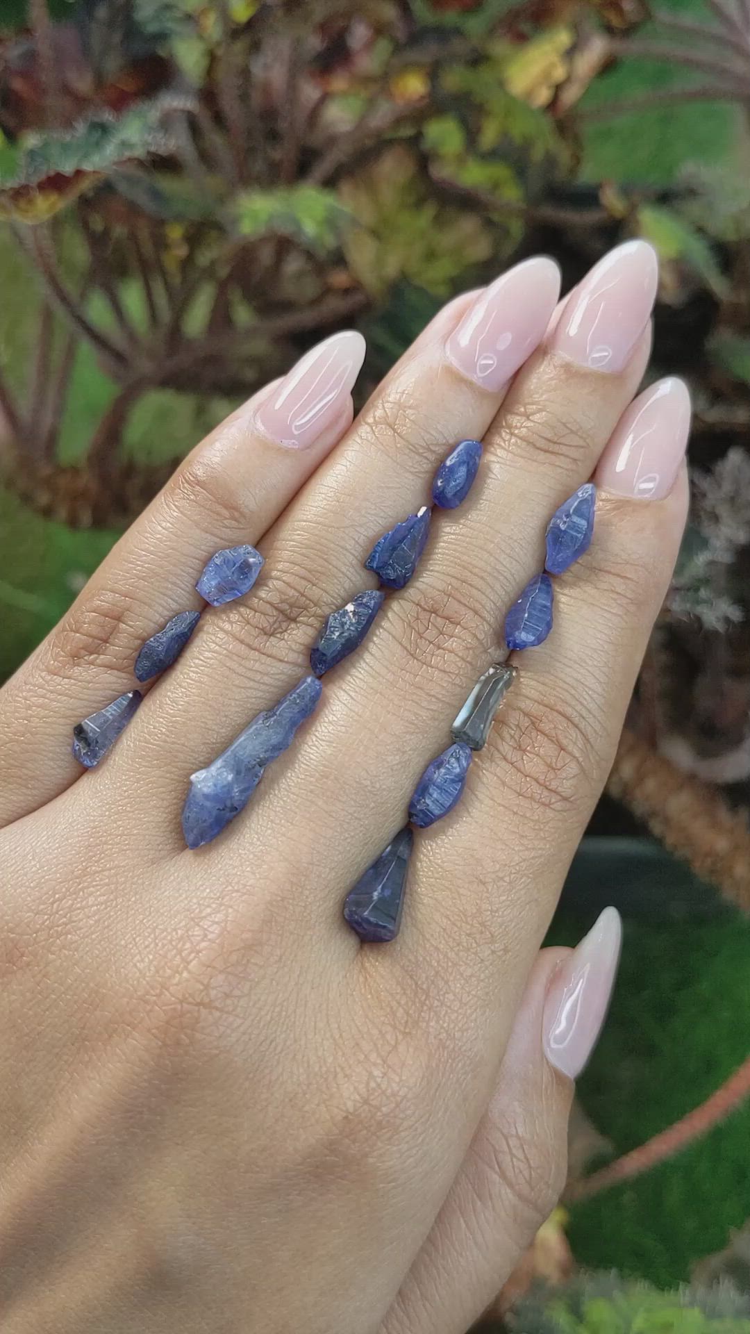 25.28 Ct. Blue Sapphire Crystal from Ceylon (Sri Lanka) Size Video