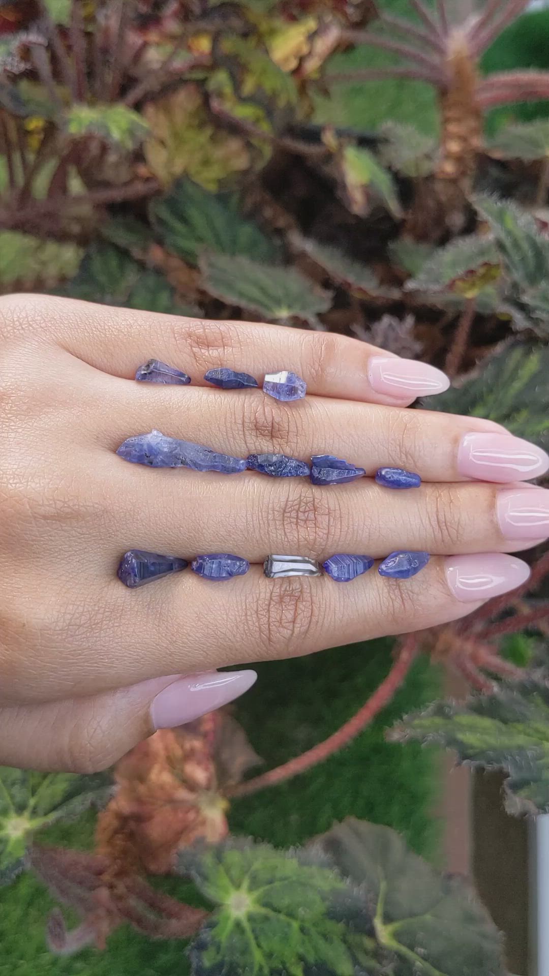 25.28 Ct. Blue Sapphire Crystal from Ceylon (Sri Lanka) Size Video