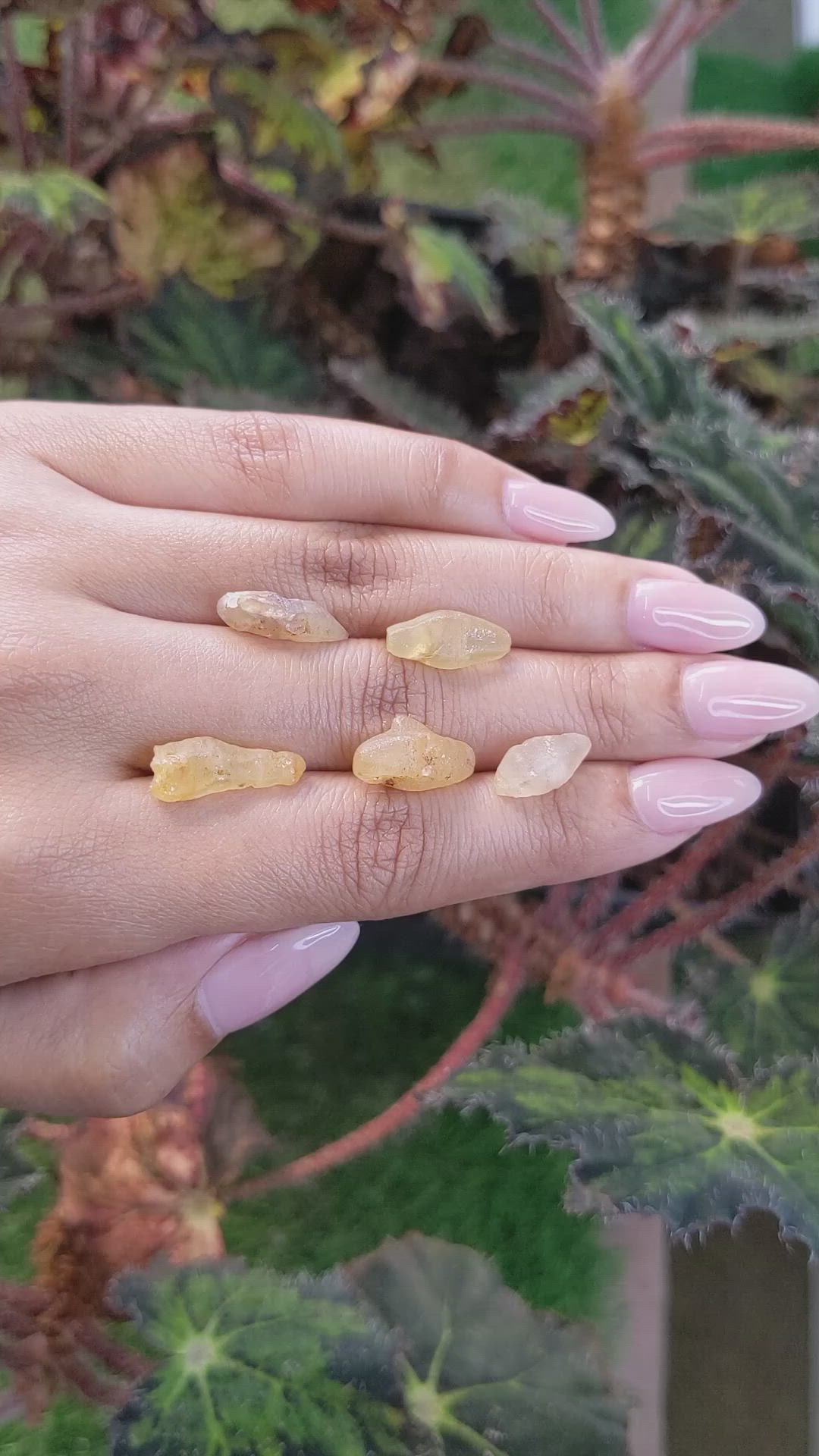 26.80 Ct. Yellow Sapphire Crystal from Ceylon (Sri Lanka) Size Video