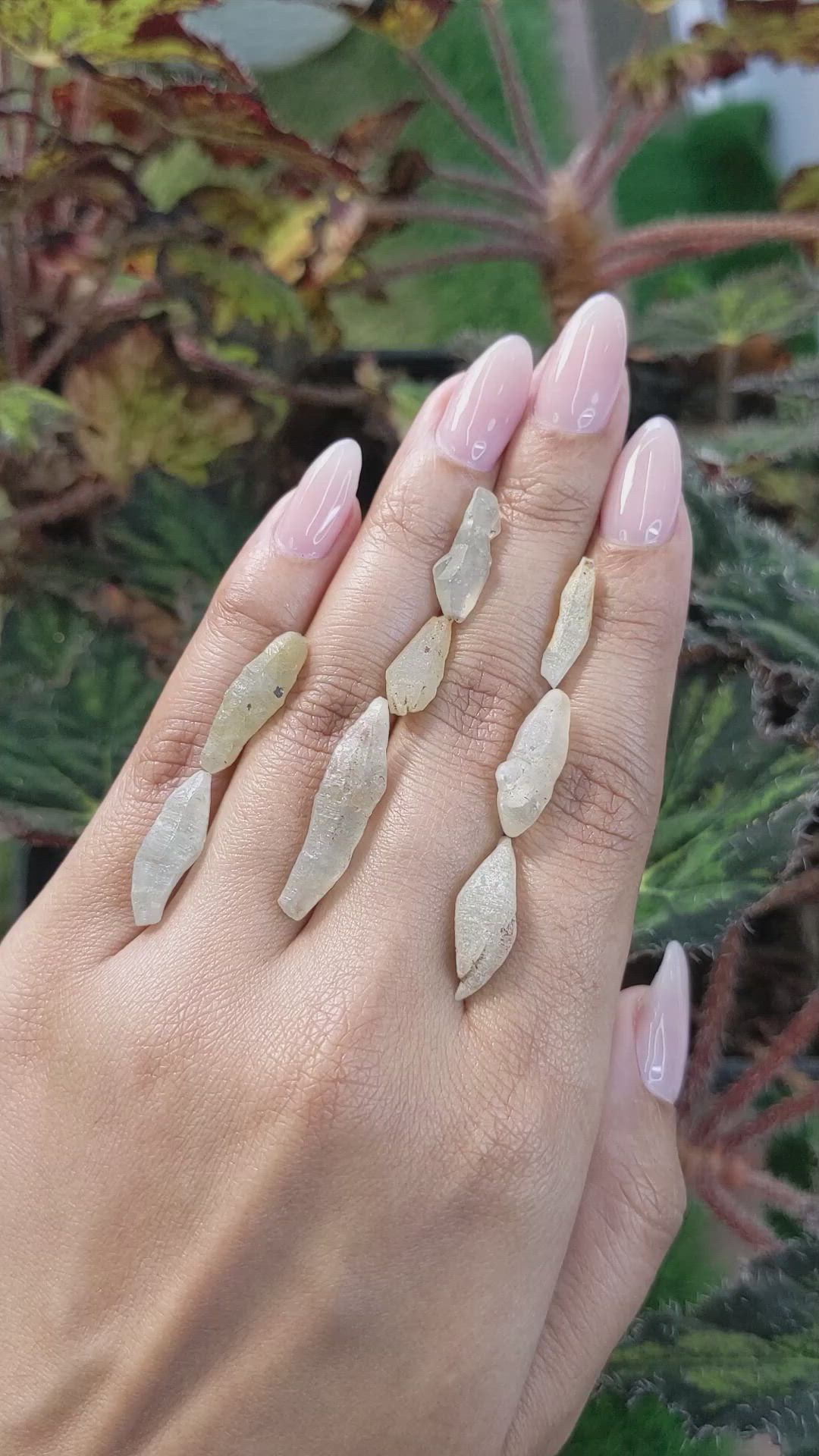 43.46 Ct. Yellow Sapphire Crystal from Ceylon (Sri Lanka) Size Video