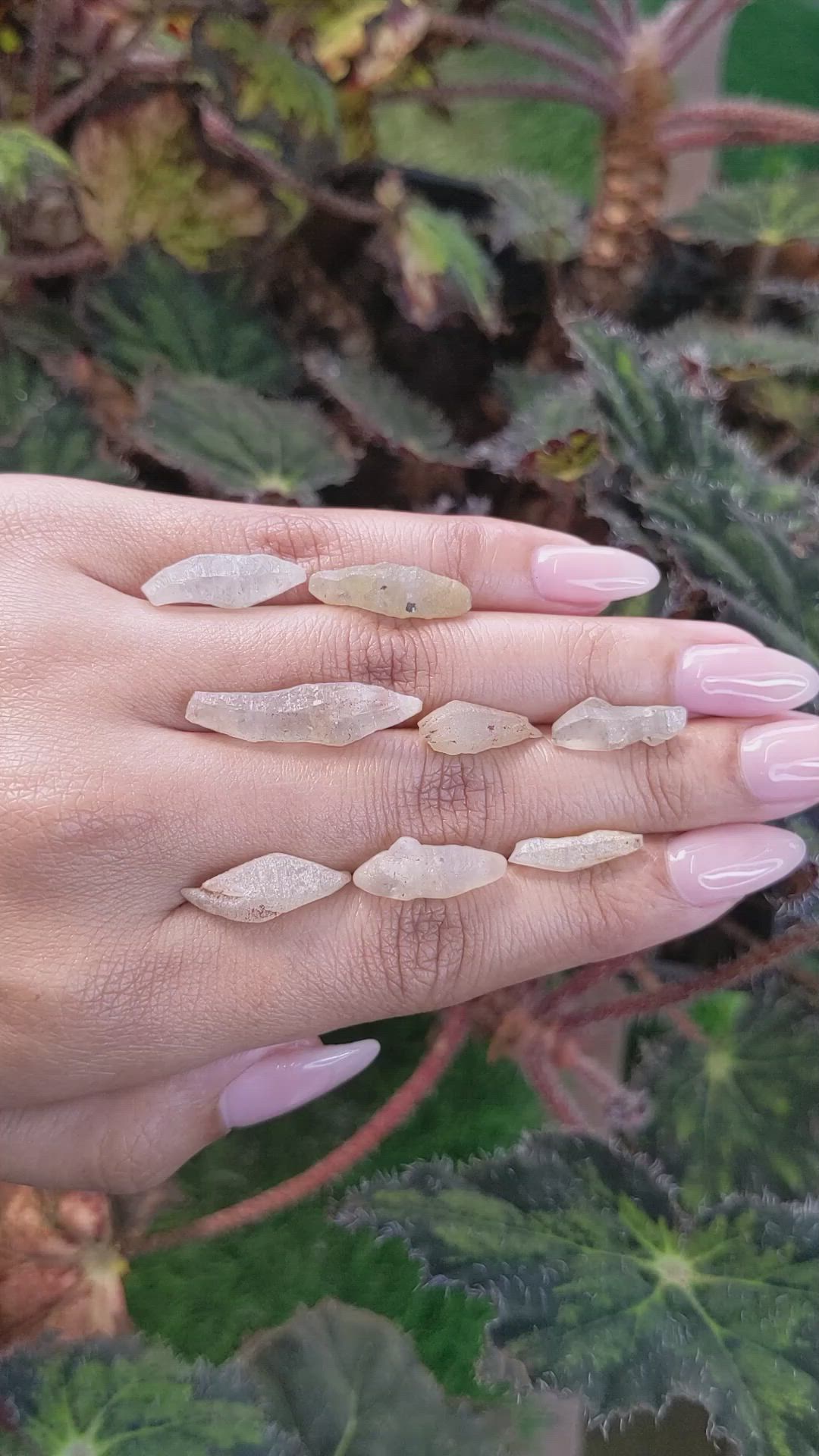 43.46 Ct. Yellow Sapphire Crystal from Ceylon (Sri Lanka) Size Video