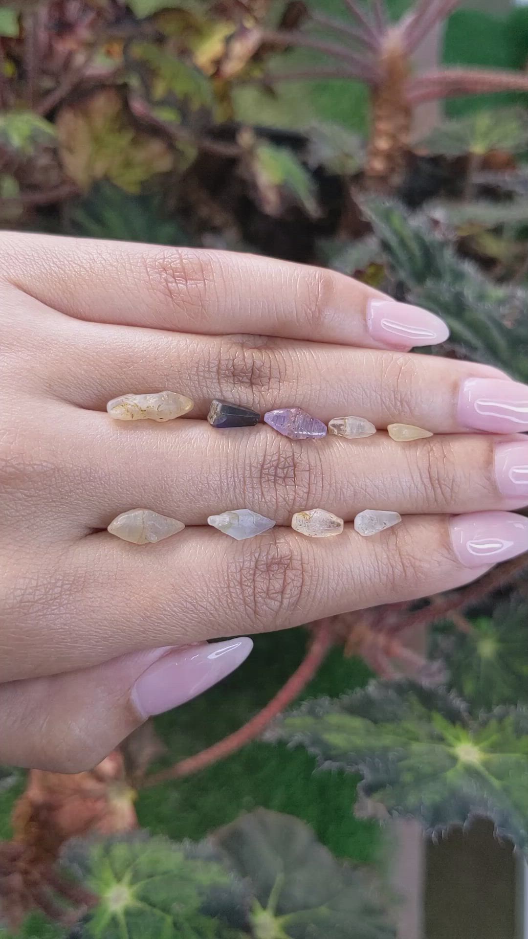 13.42 Ct. Multi Color Sapphire Crystal from Ceylon (Sri Lanka) Size Video