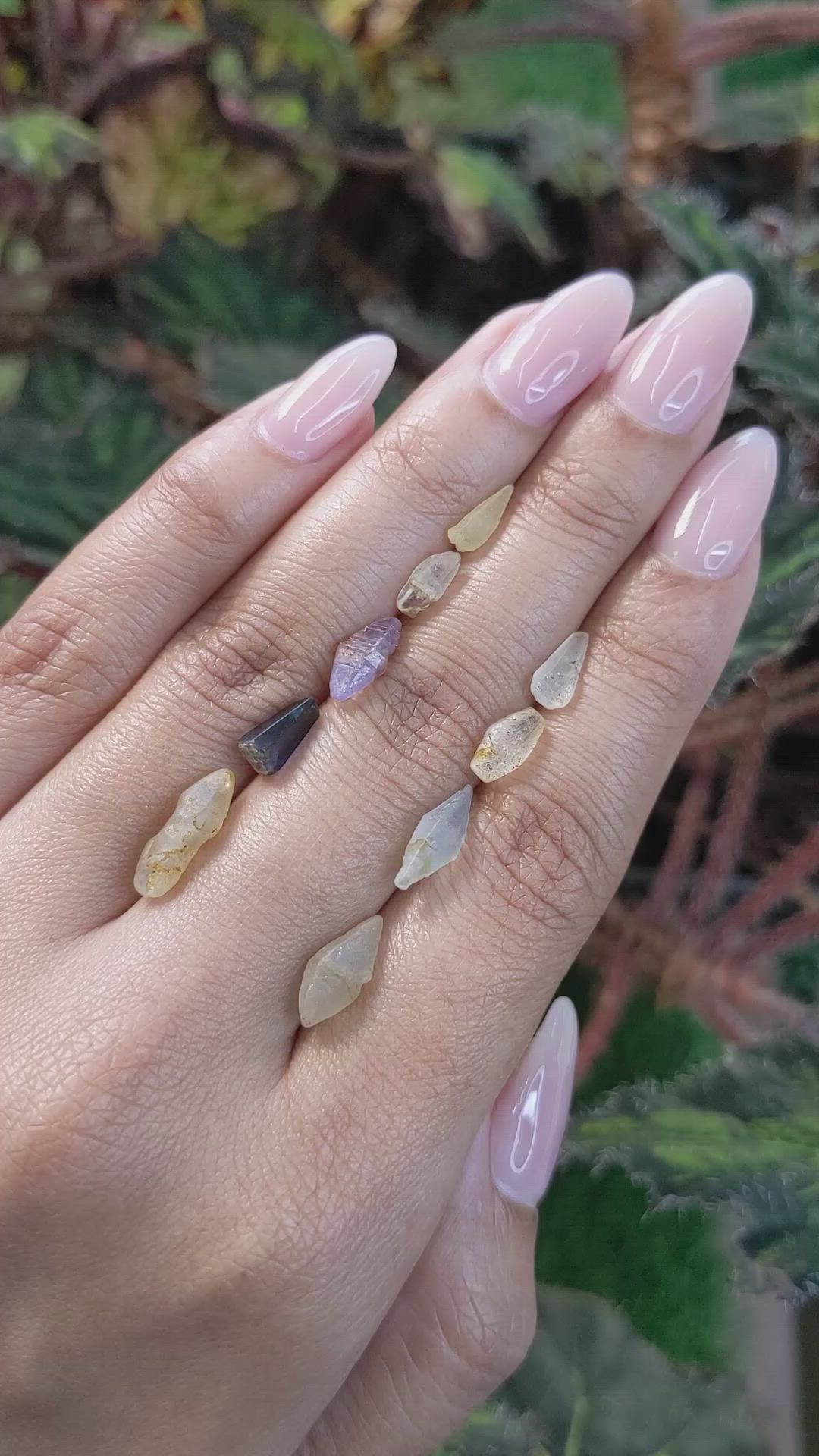 13.42 Ct. Multi Color Sapphire Crystal from Ceylon (Sri Lanka) Size Video