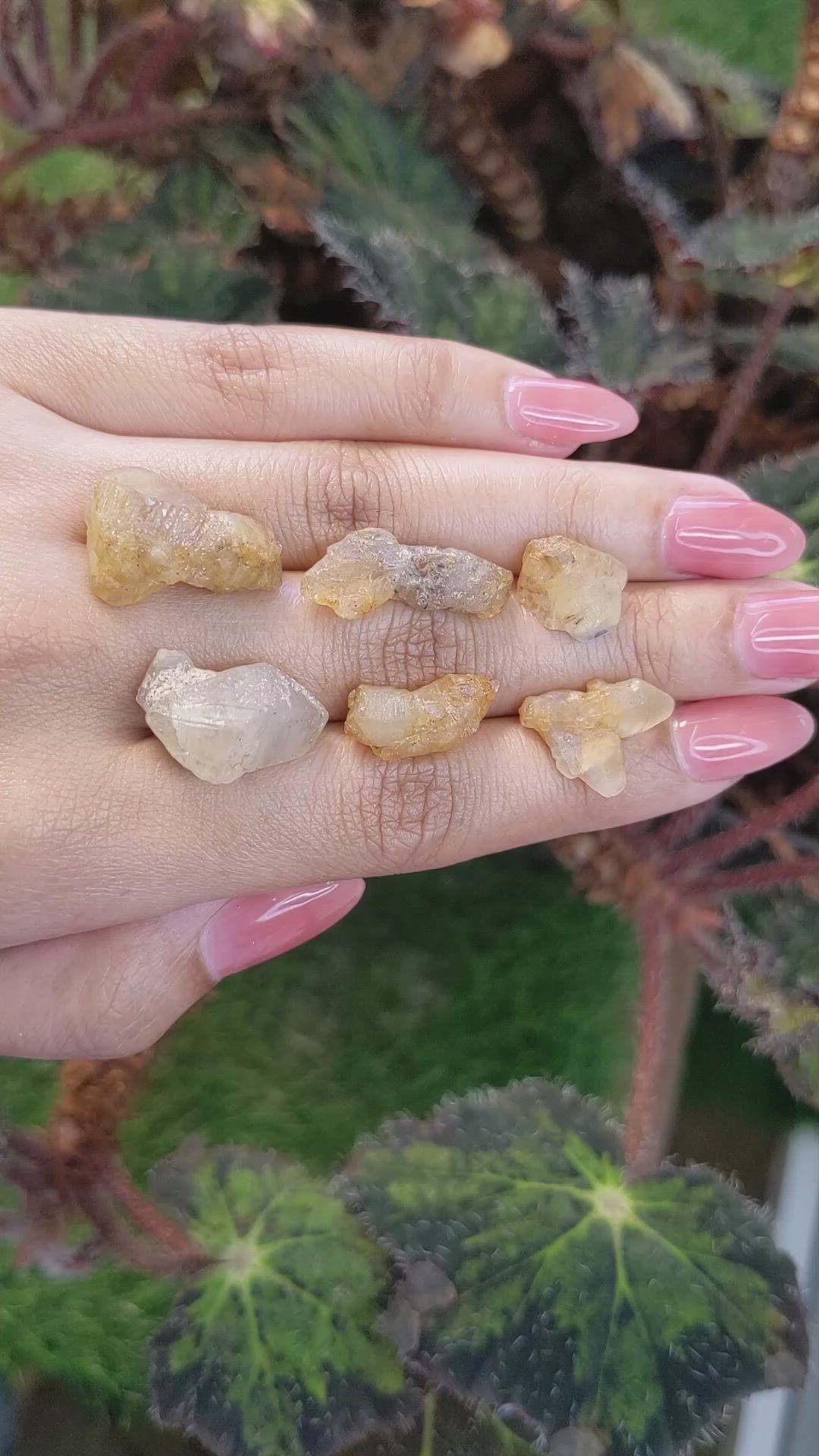 71.07 Ct. Yellow Sapphire Crystal from Ceylon (Sri Lanka) Size Video