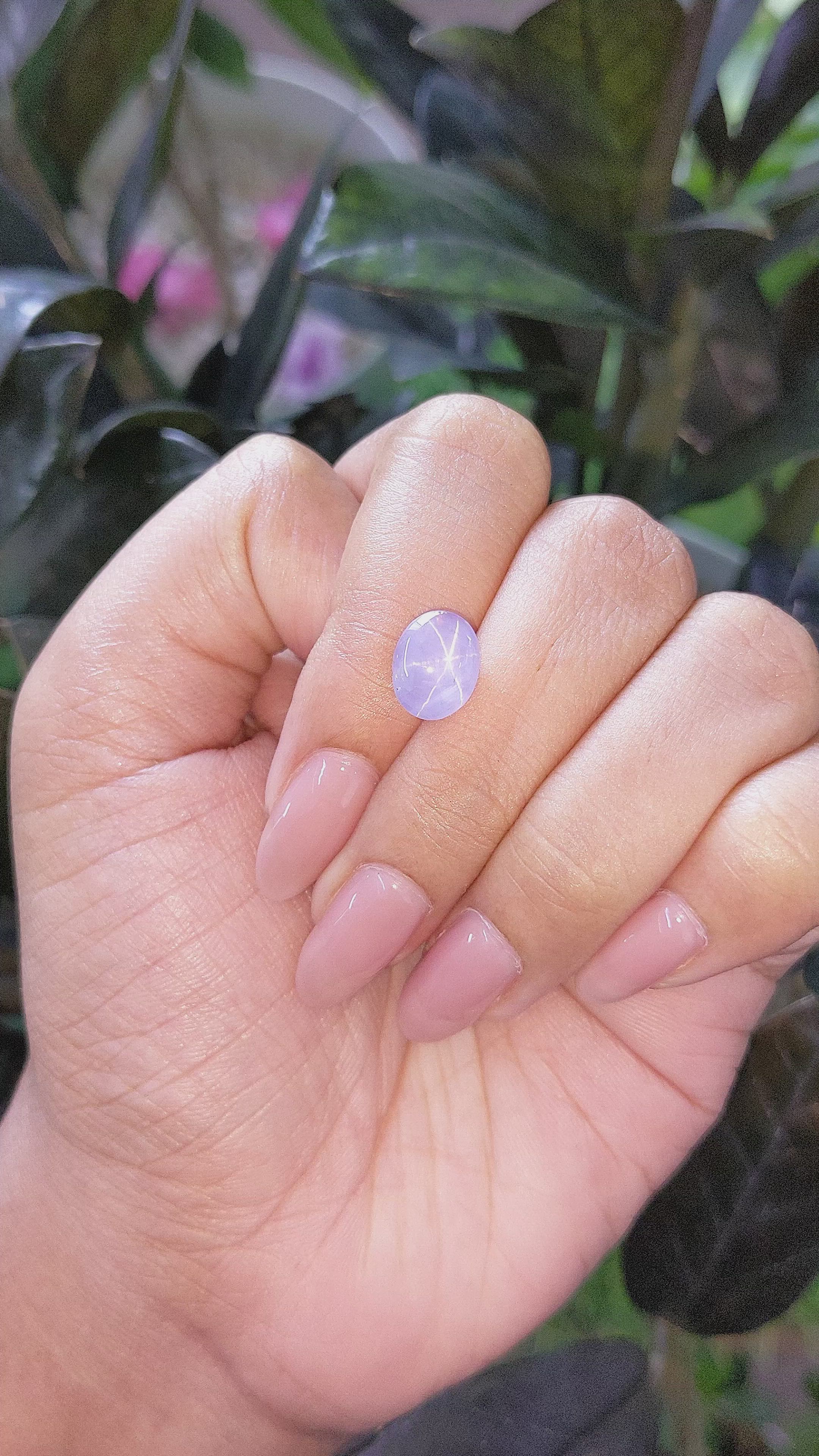 4.83 Ct. Purple Star Sapphire from Ceylon (Sri Lanka) Size Video