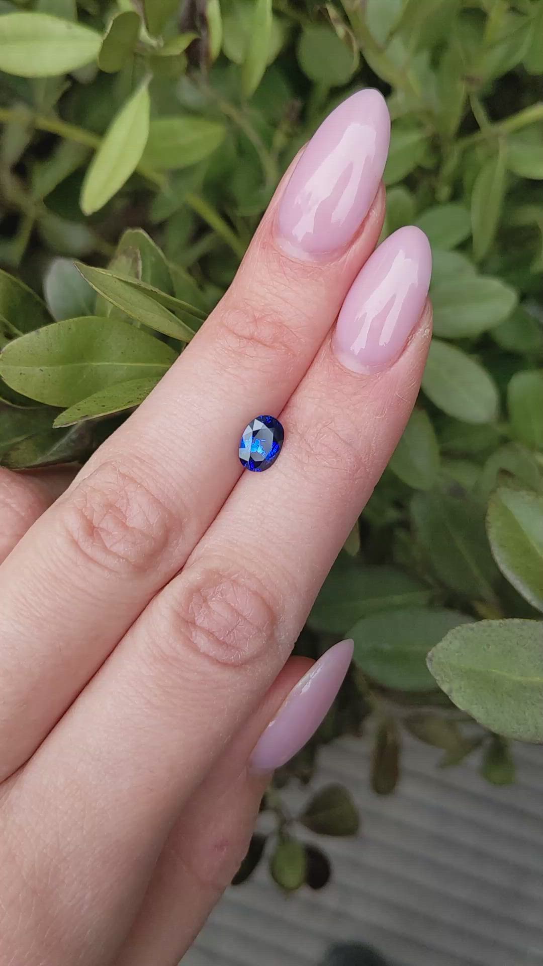 1.30 Ct. Blue Sapphire from Ceylon (Sri Lanka) Size Video