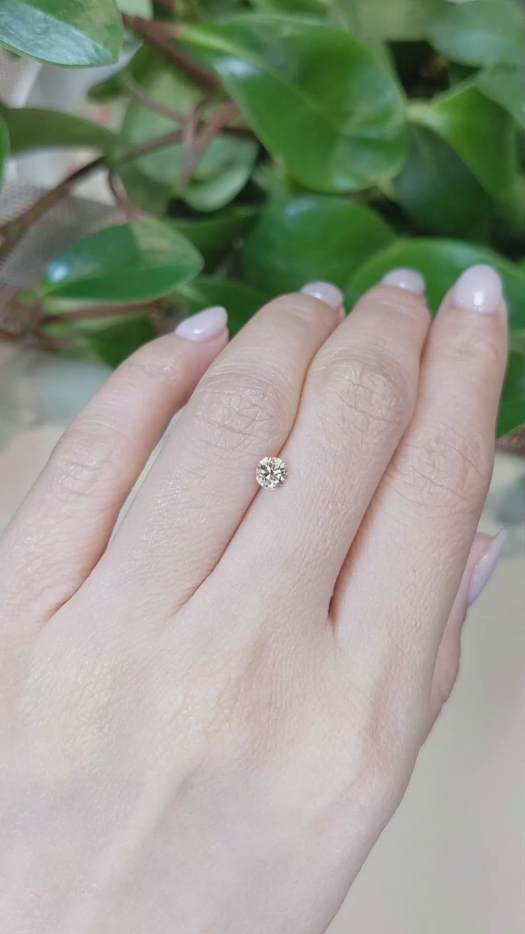 0.47 Ct. Yellowish Brown Sapphire from Montana Size Video